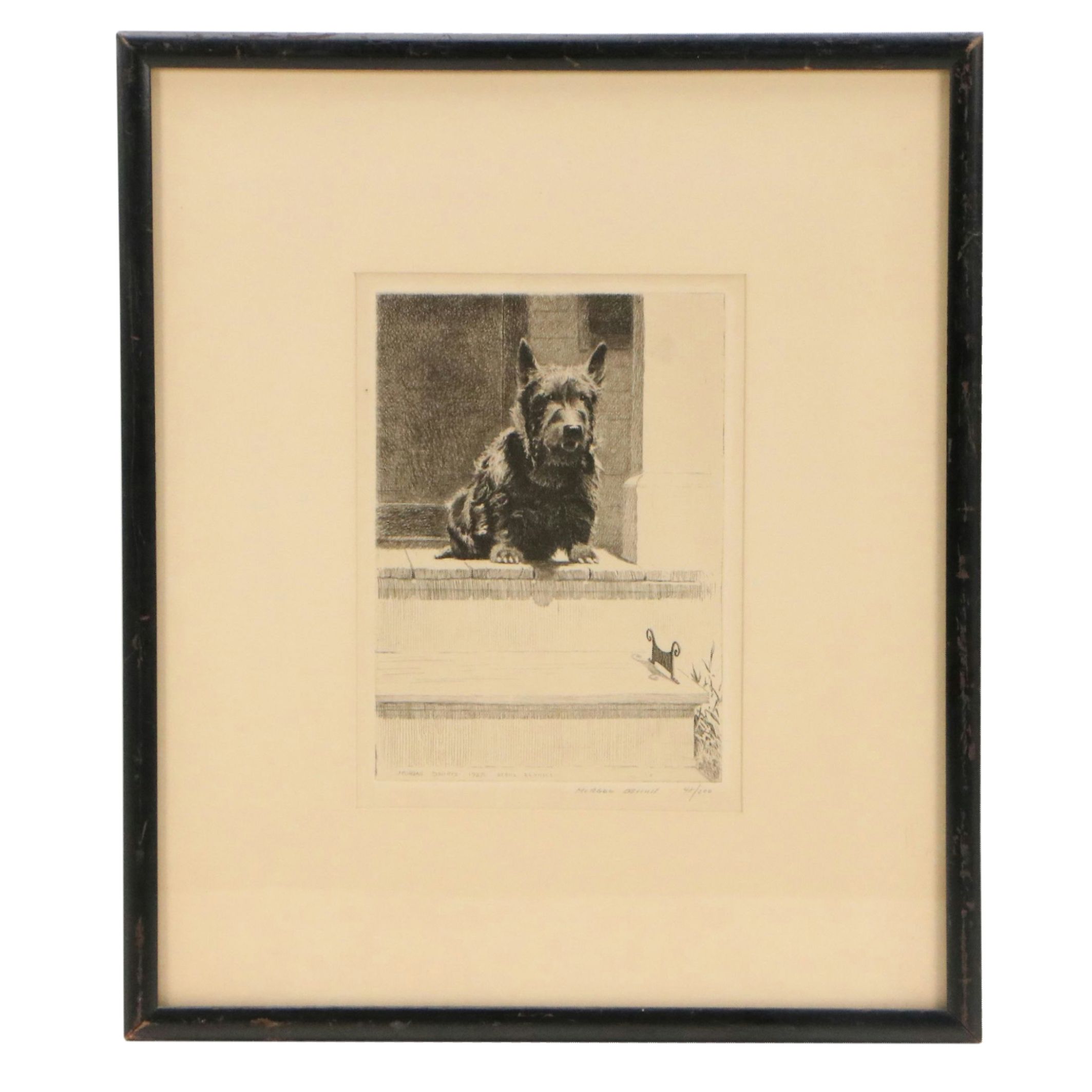 Morgan Dennis Etching of Terrier "Scone Kennels," 1927