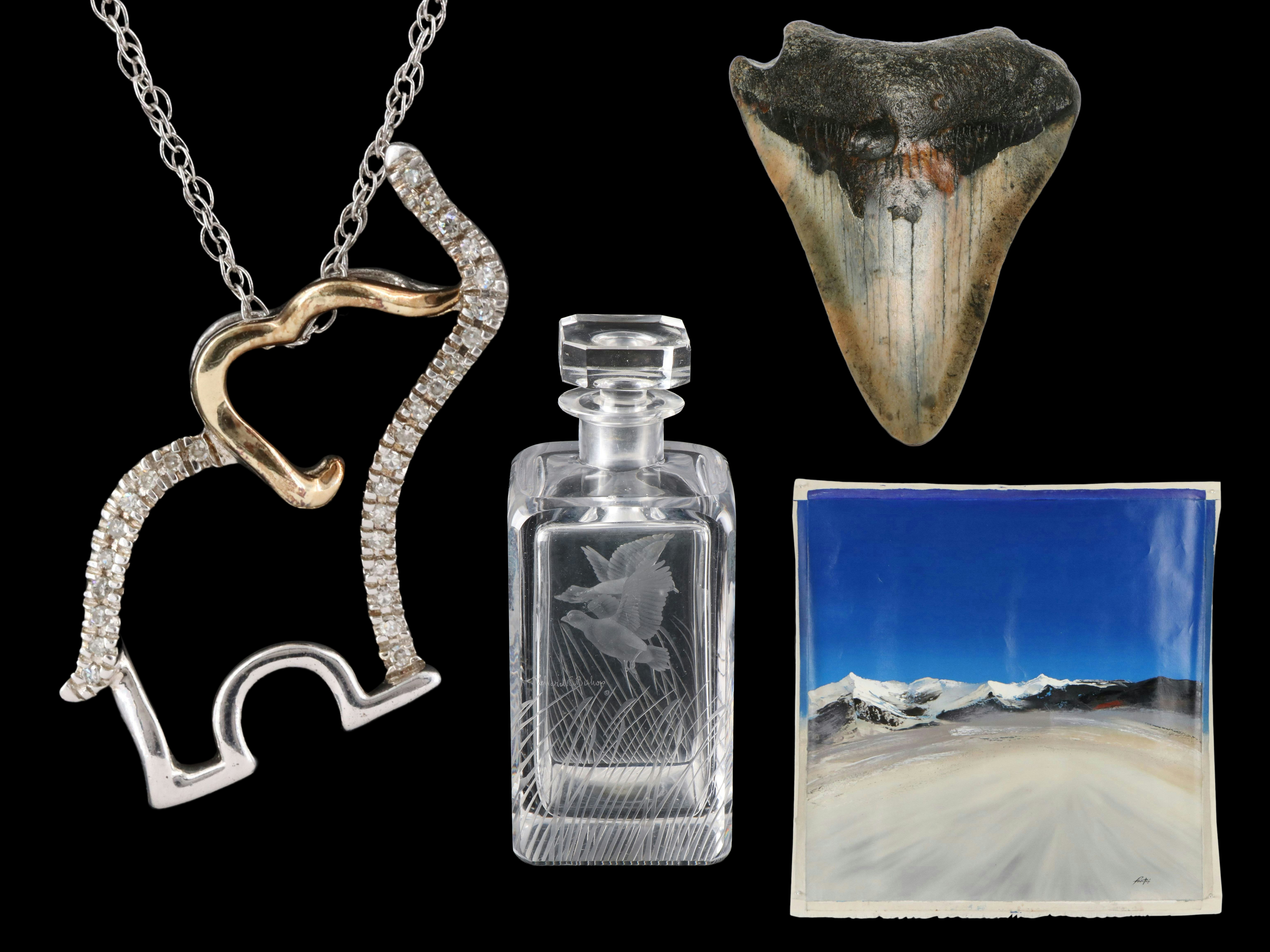 The Naturalist's Niche