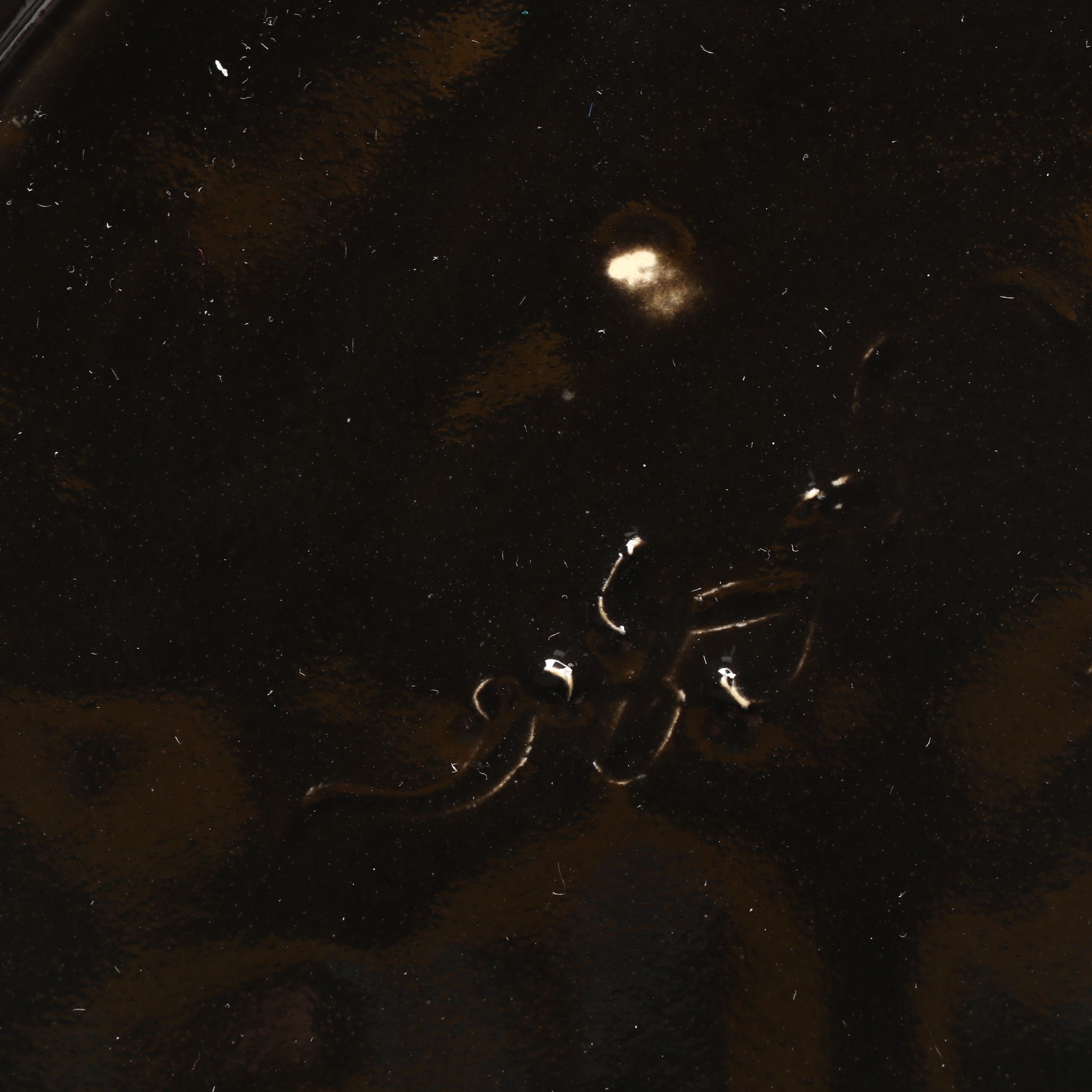 Polychrome Glazed Tray with Unglazed Ceramic Tray