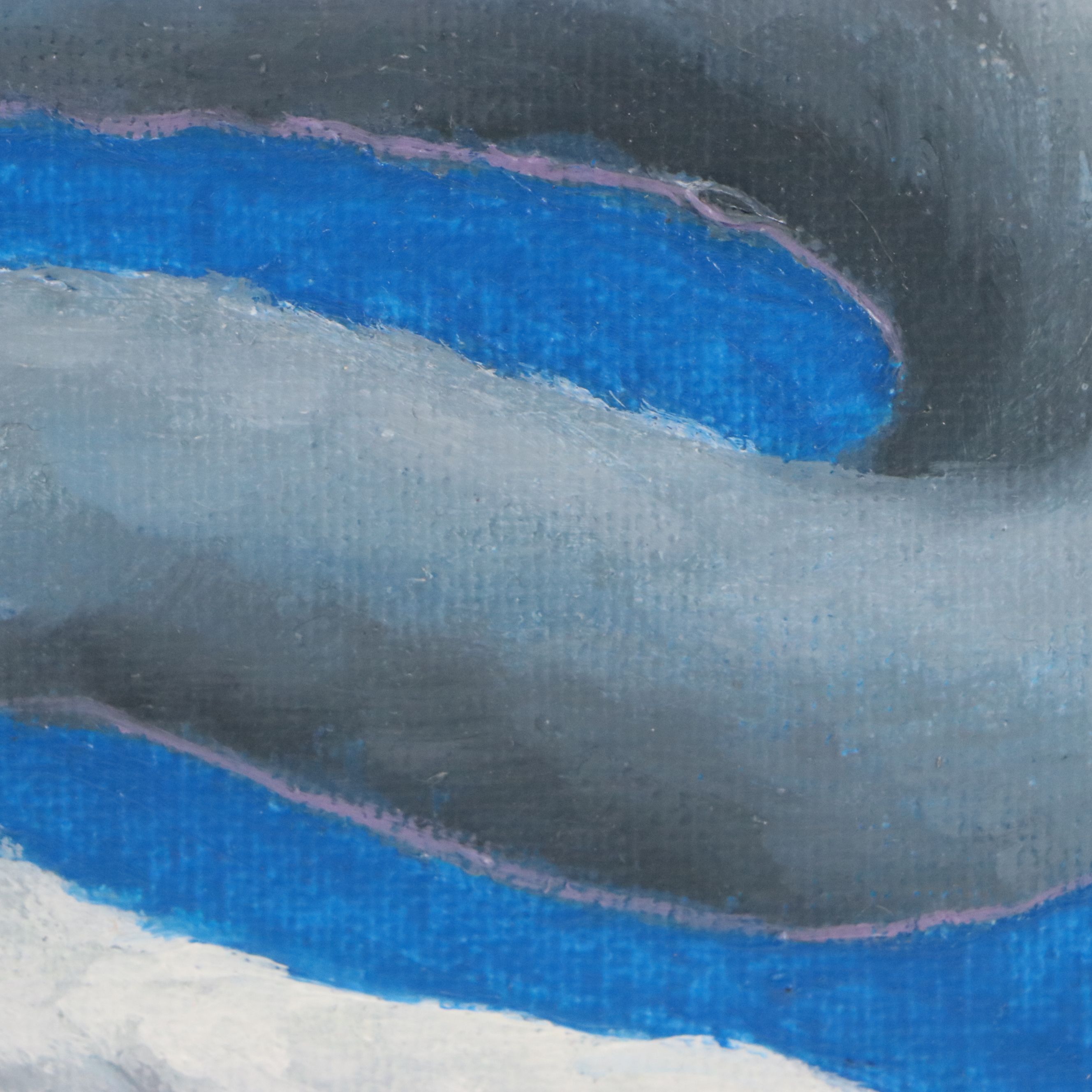 C. F. Dunn Oil Painting "Silly Goose III," 2026