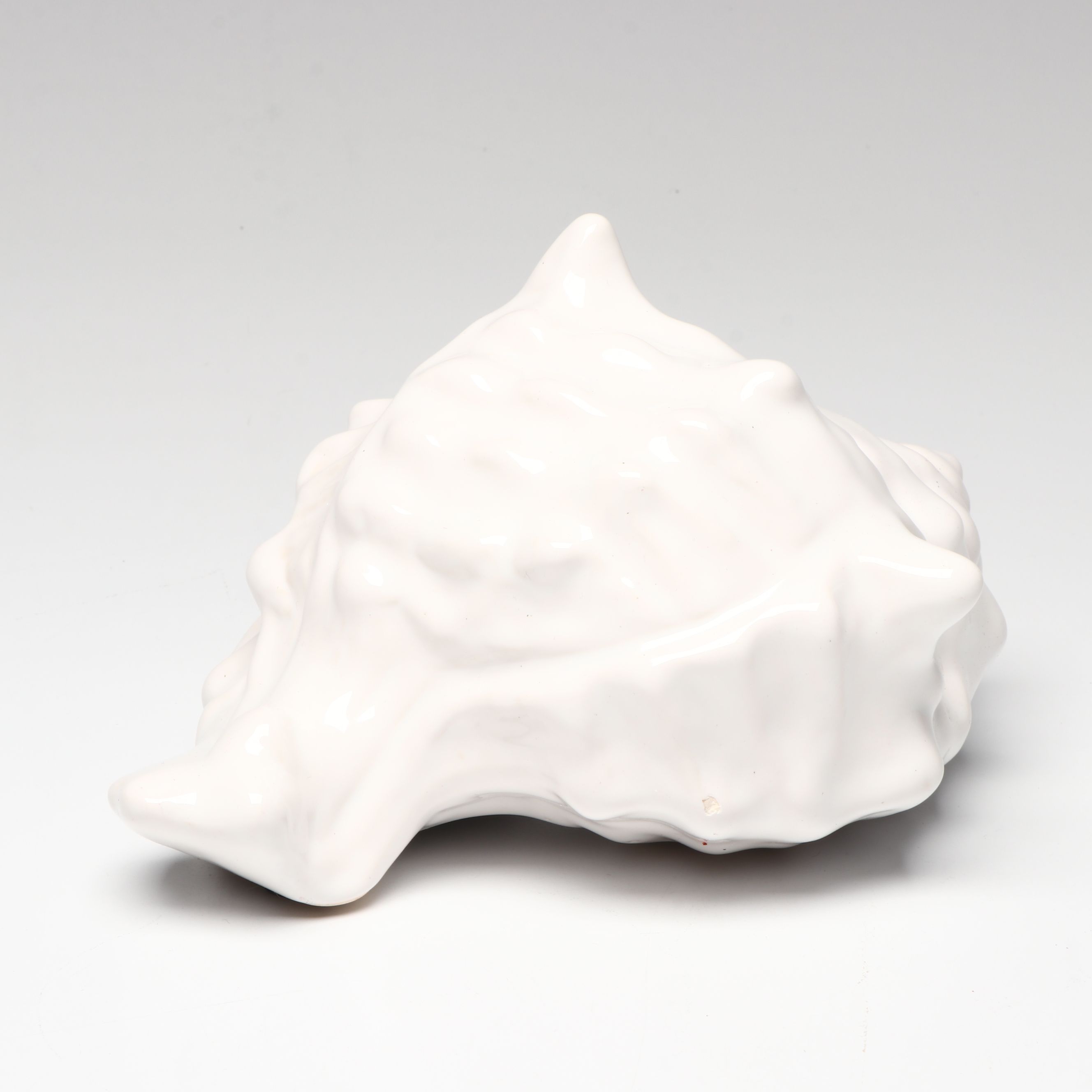 Conch, Cowrie and More Shells with Wooden Whales and More Nautical Décor