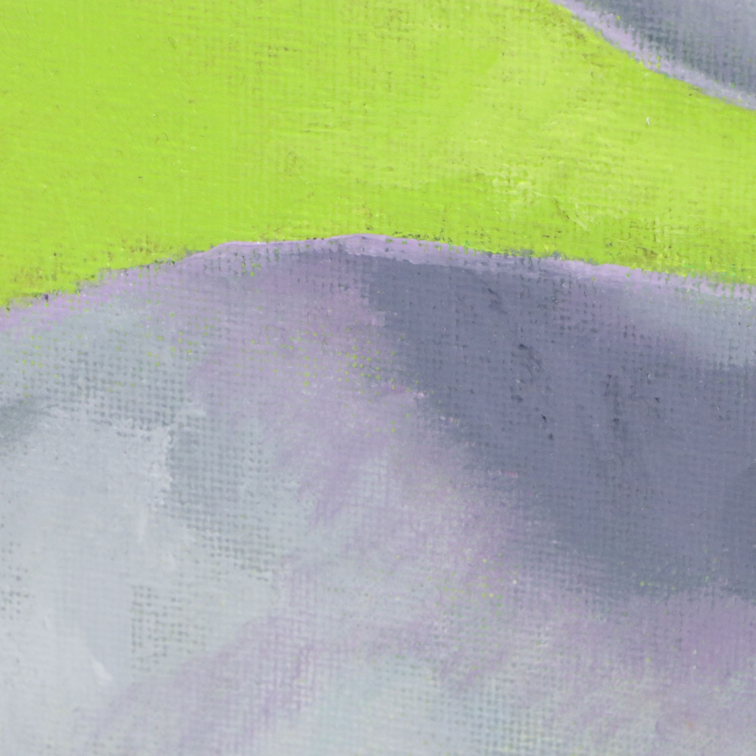 C. F. Dunn Oil Painting "Silly Goose II," 2026