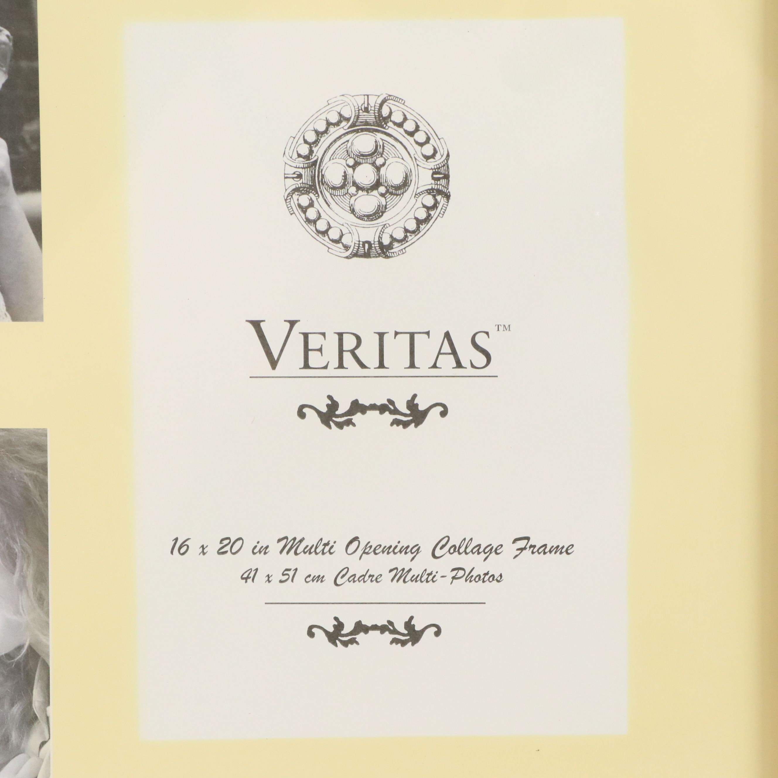 Set of Four Gold Tone Resin Frames