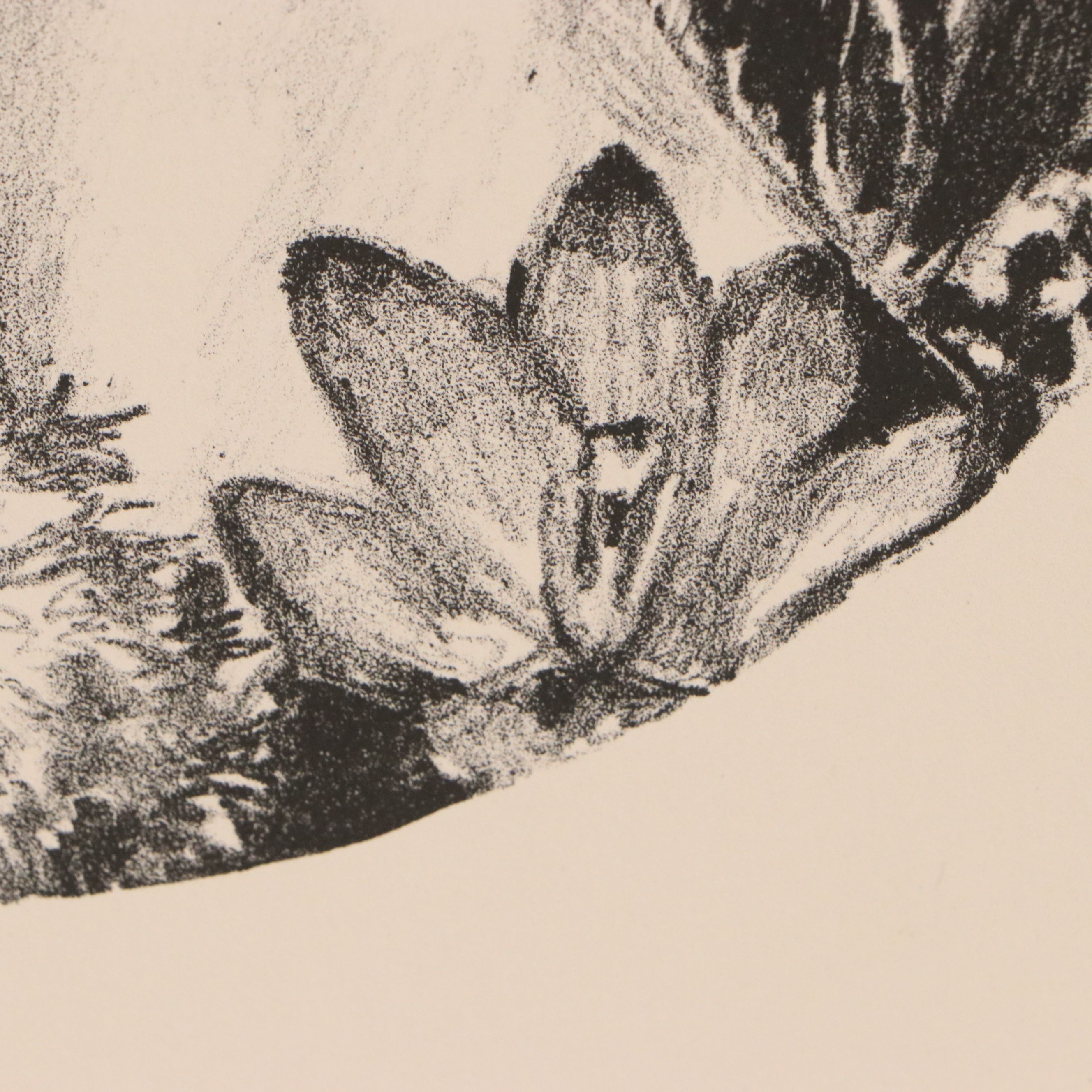 C. F. Dunn Stone Lithograph "Optimism," 2014