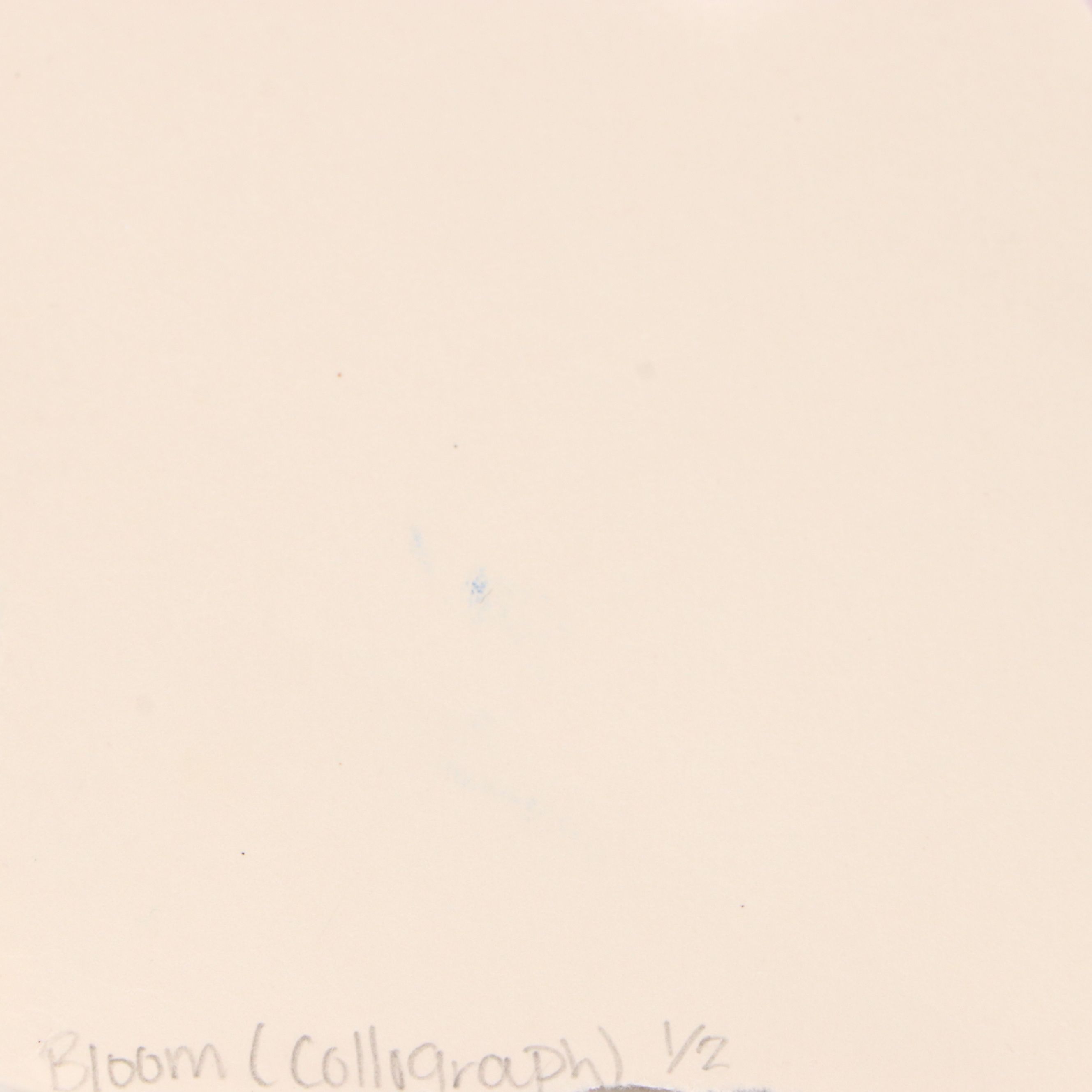 C. F. Dunn Collographs "Bloom," 2014