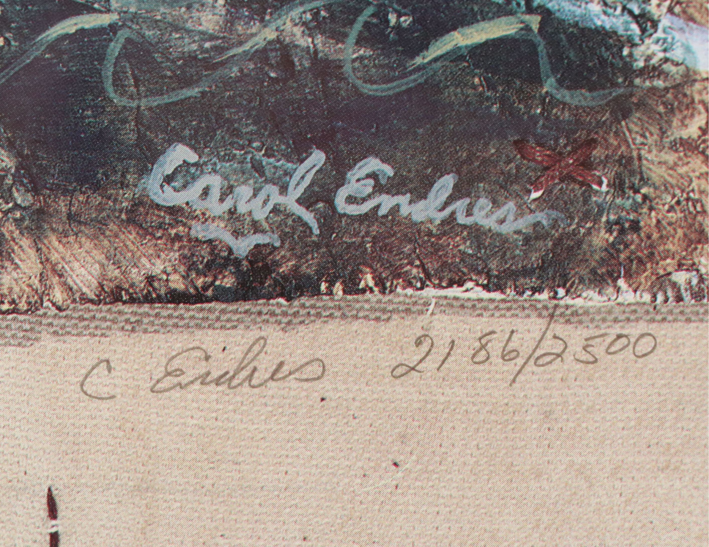 Carol Endres Offset Lithograph "Noah," Late 20th Century