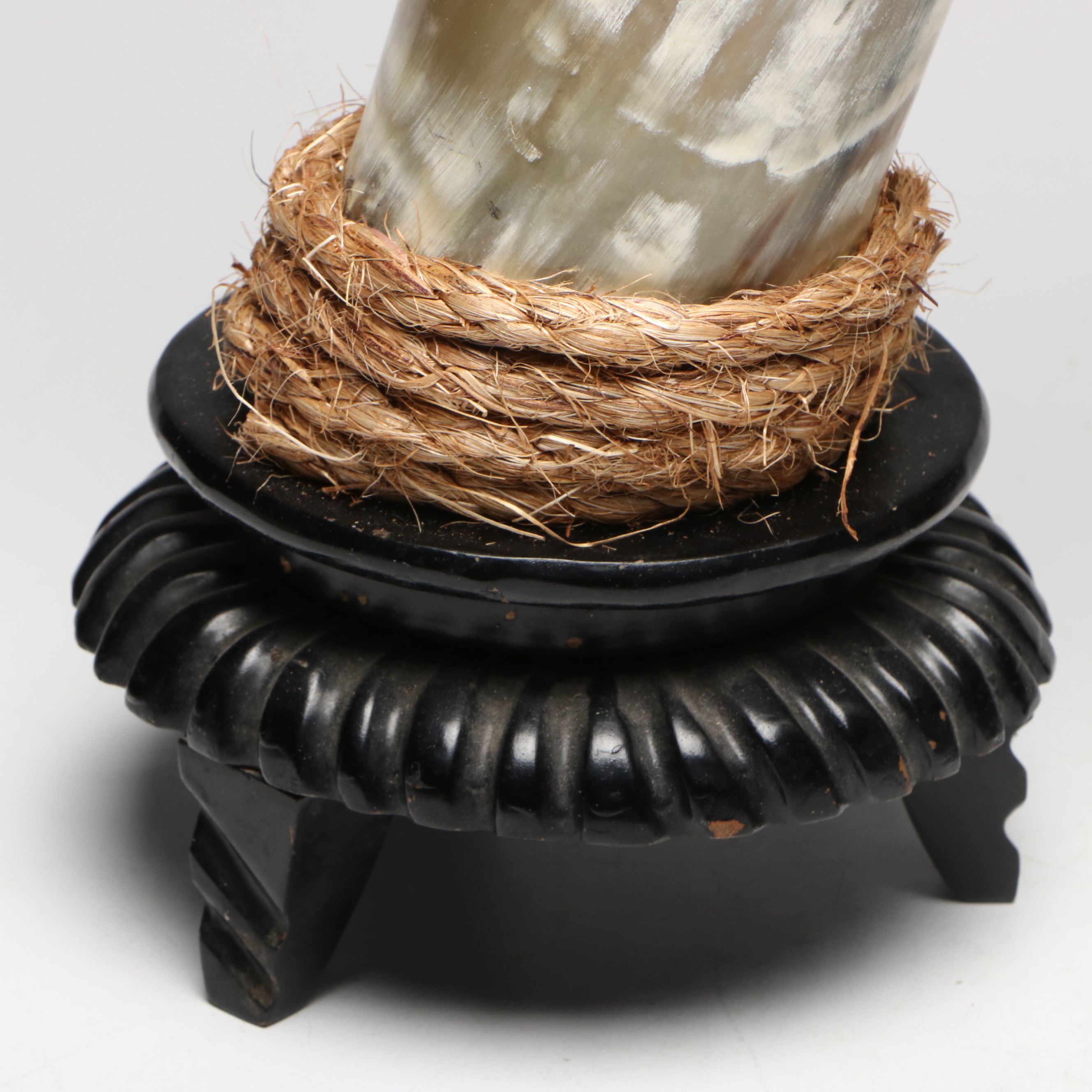 Steer Horns Mounted on Wooden Bases