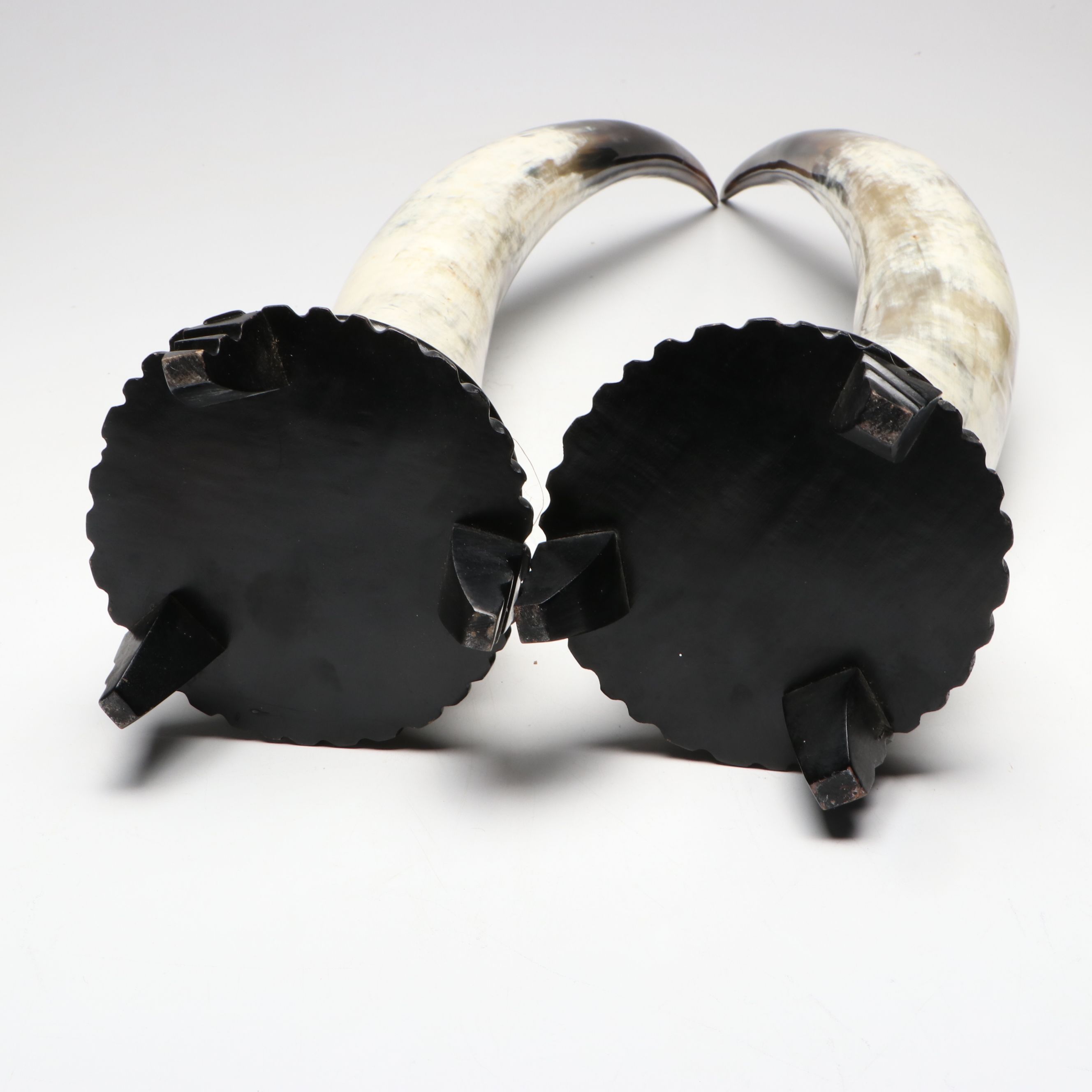 Steer Horns Mounted on Wooden Bases