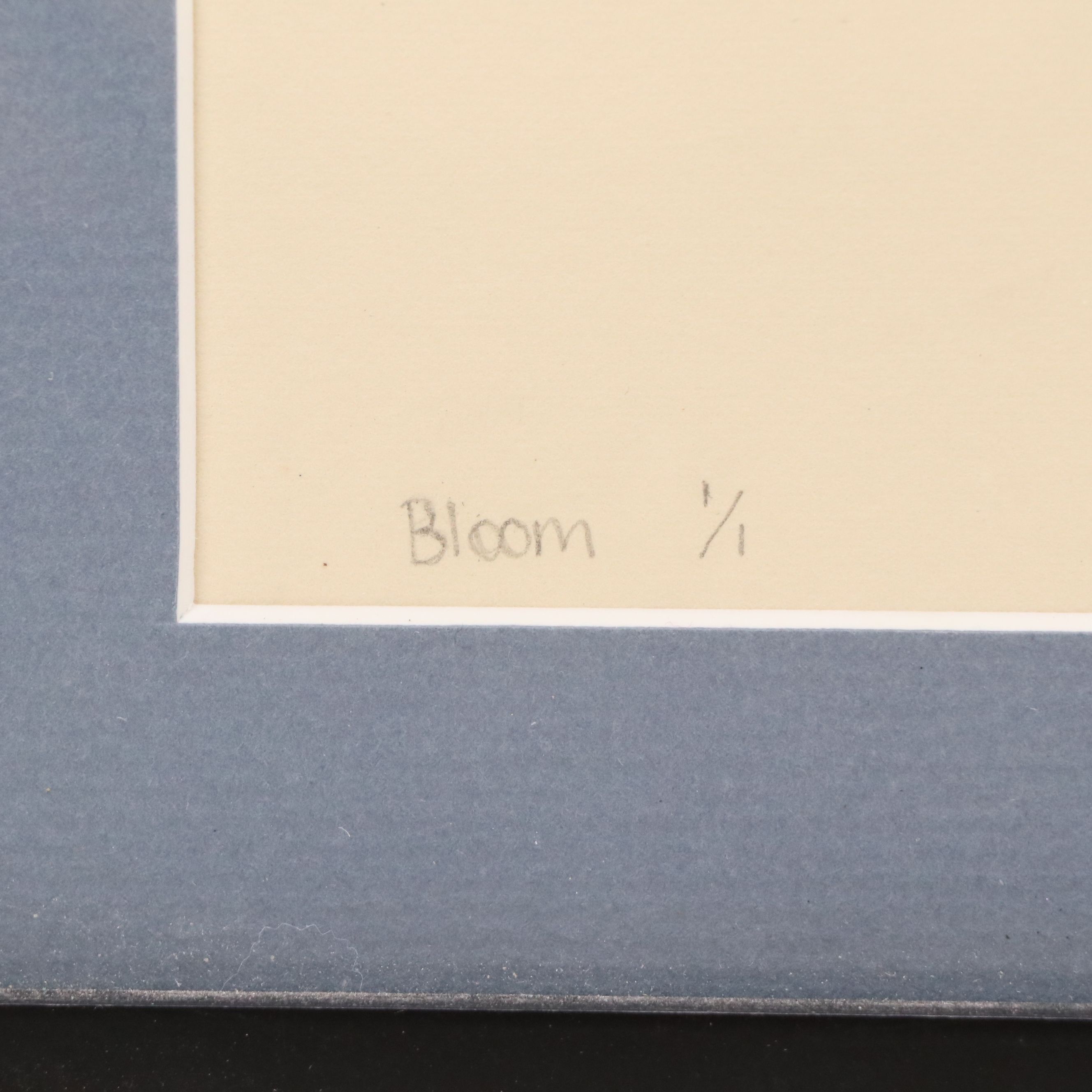 C. F. Dunn Mixed Media Embossings "Bloom," 2014