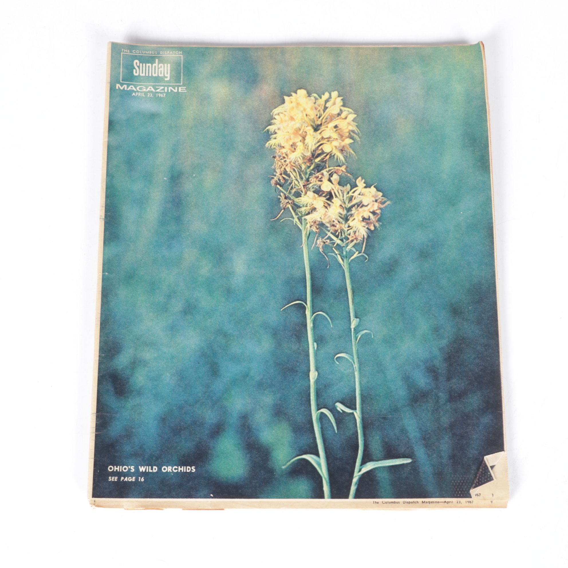 "LOOK" Magazine JFK Memorial Issues and Other Magazine Collections