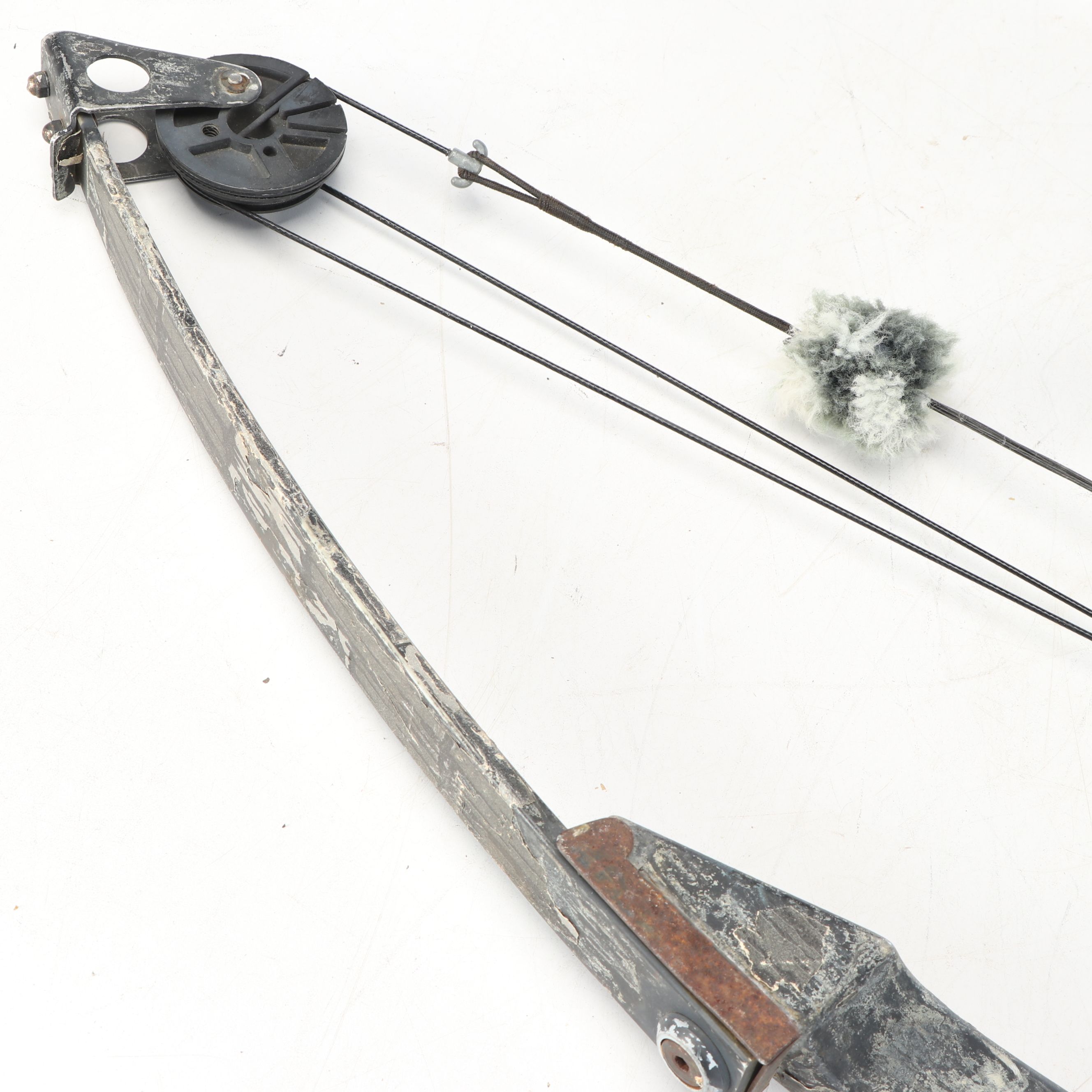 Bear Polar Ltd. Compound Bow with Other Archery Bow