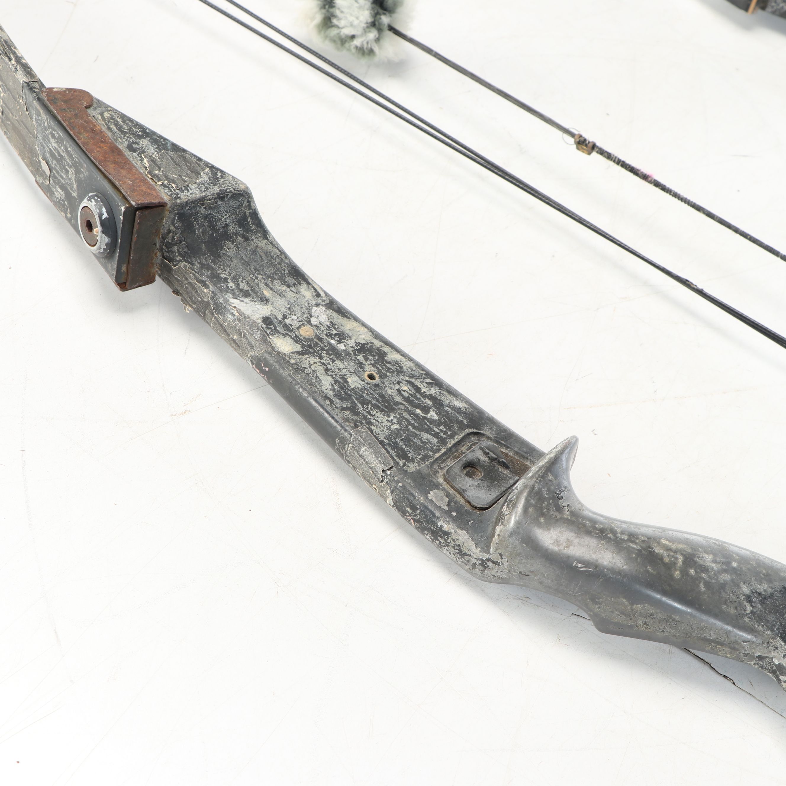 Bear Polar Ltd. Compound Bow with Other Archery Bow