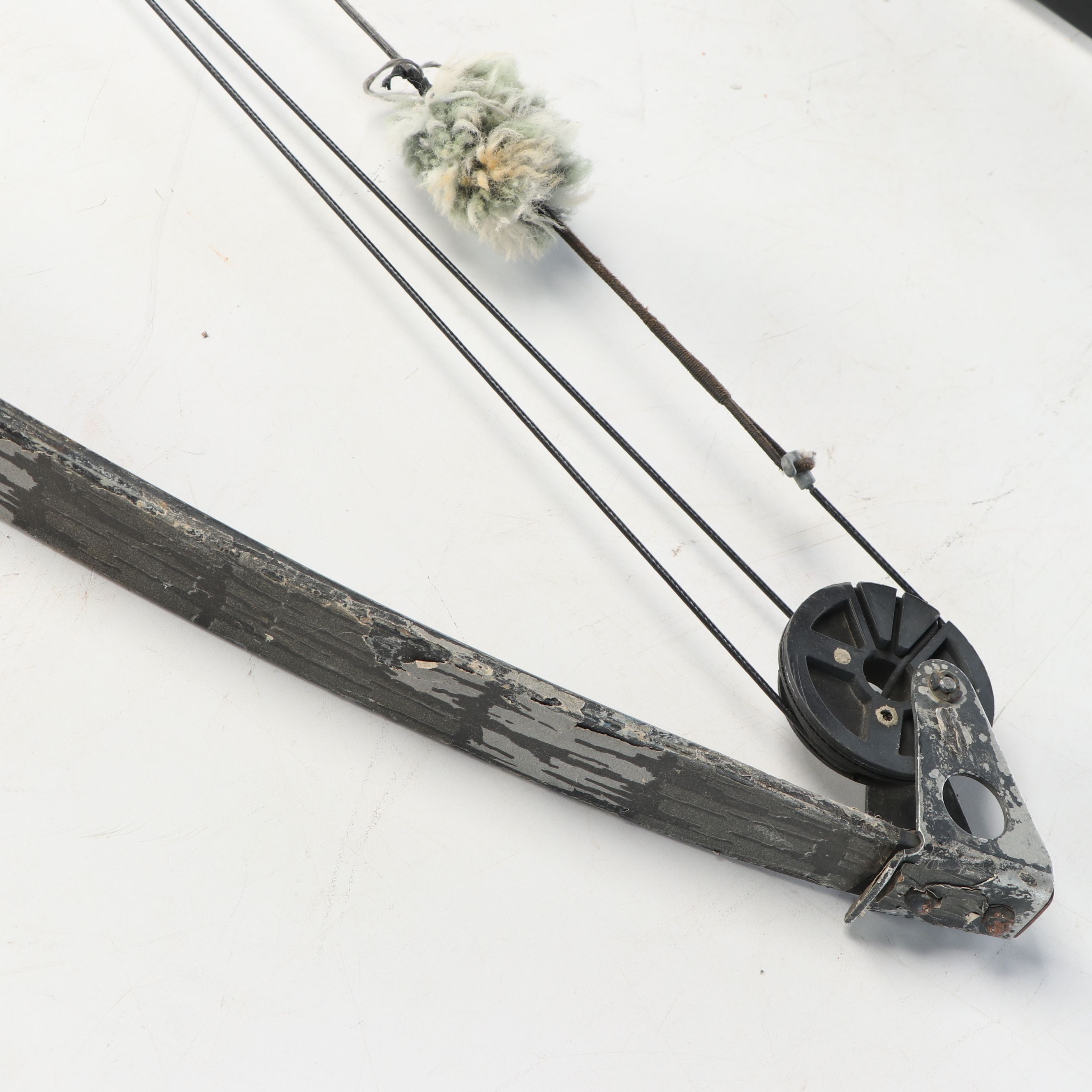 Bear Polar Ltd. Compound Bow with Other Archery Bow