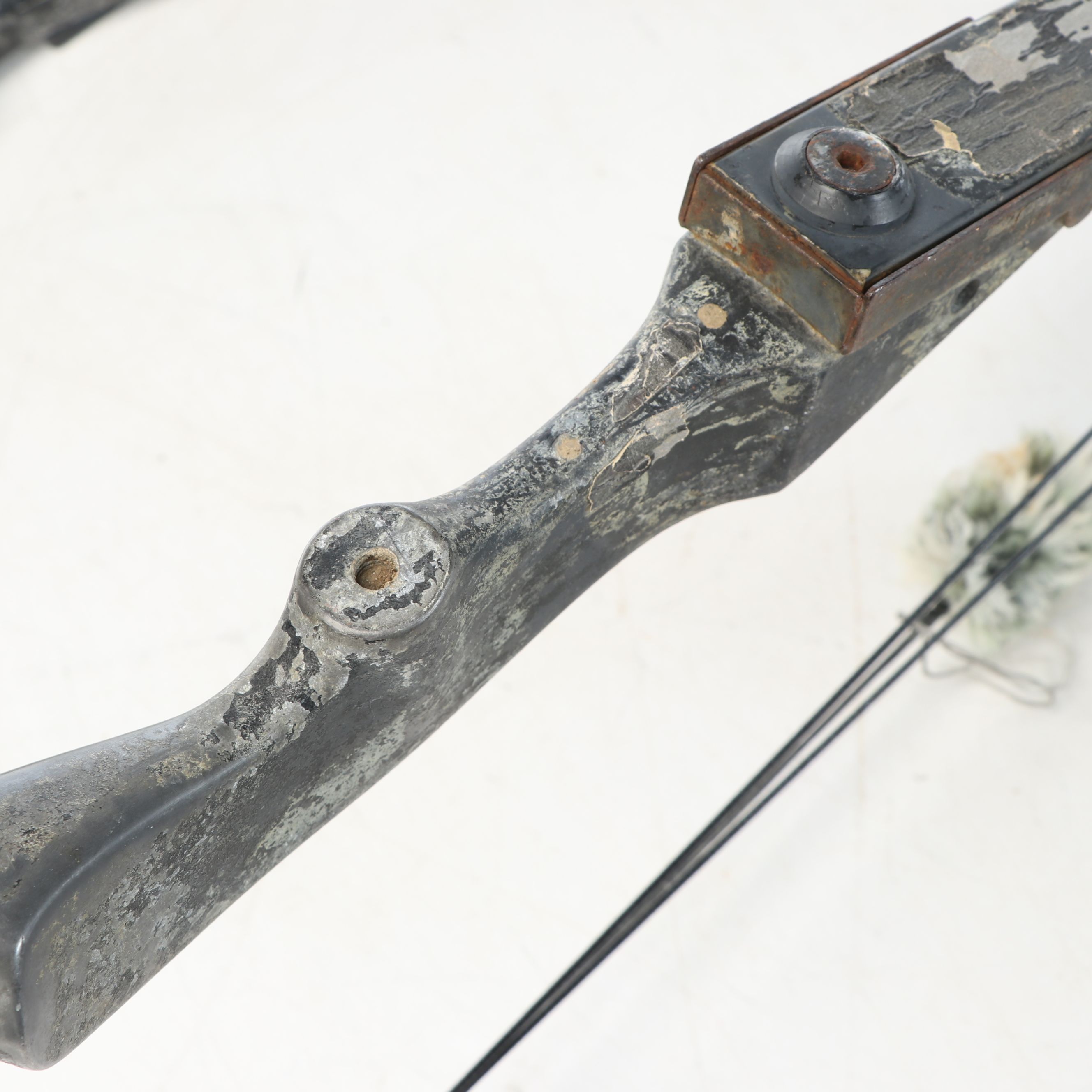 Bear Polar Ltd. Compound Bow with Other Archery Bow