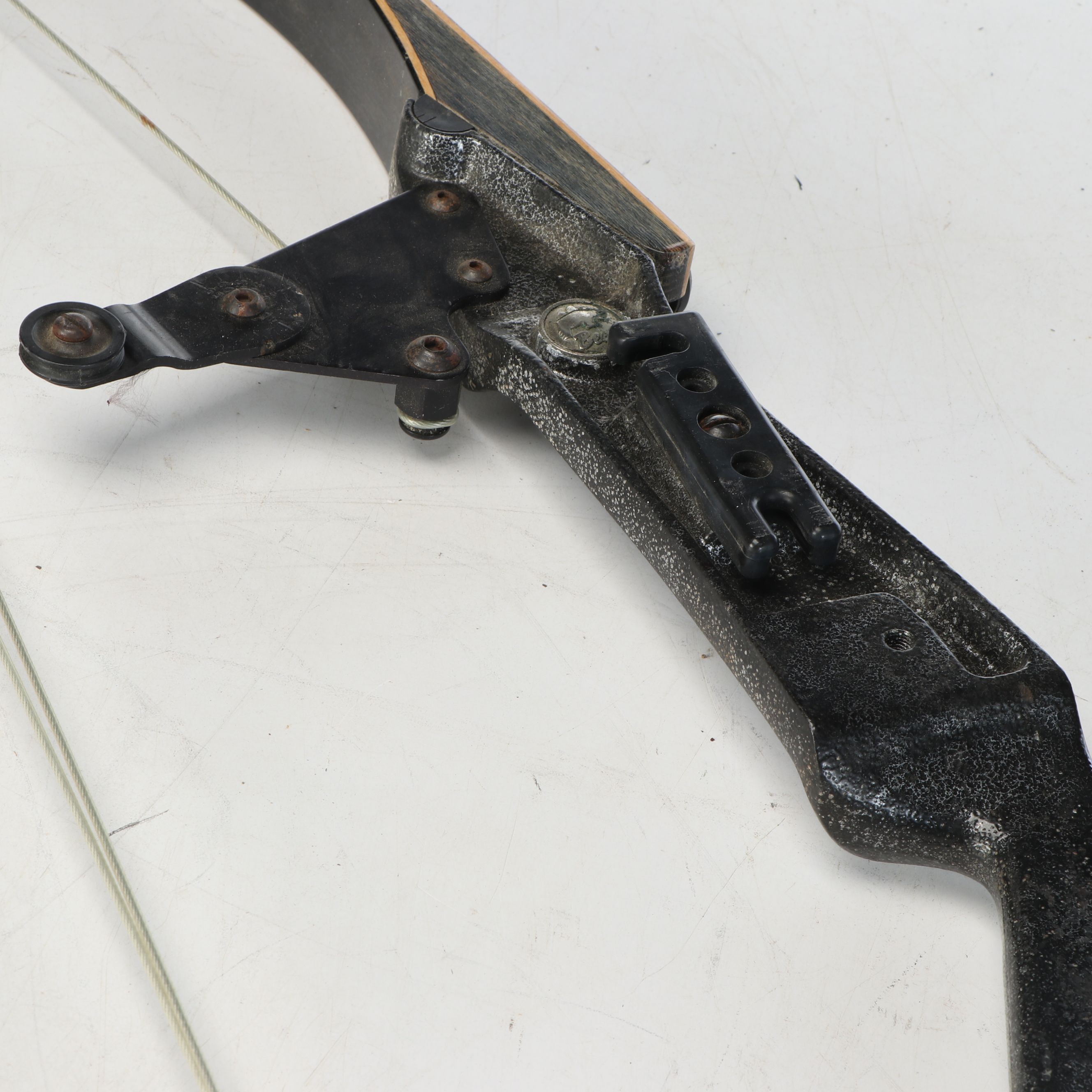 Bear Polar Ltd. Compound Bow with Other Archery Bow