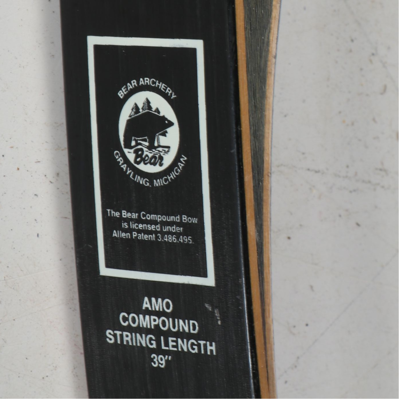 Bear Polar Ltd. Compound Bow with Other Archery Bow