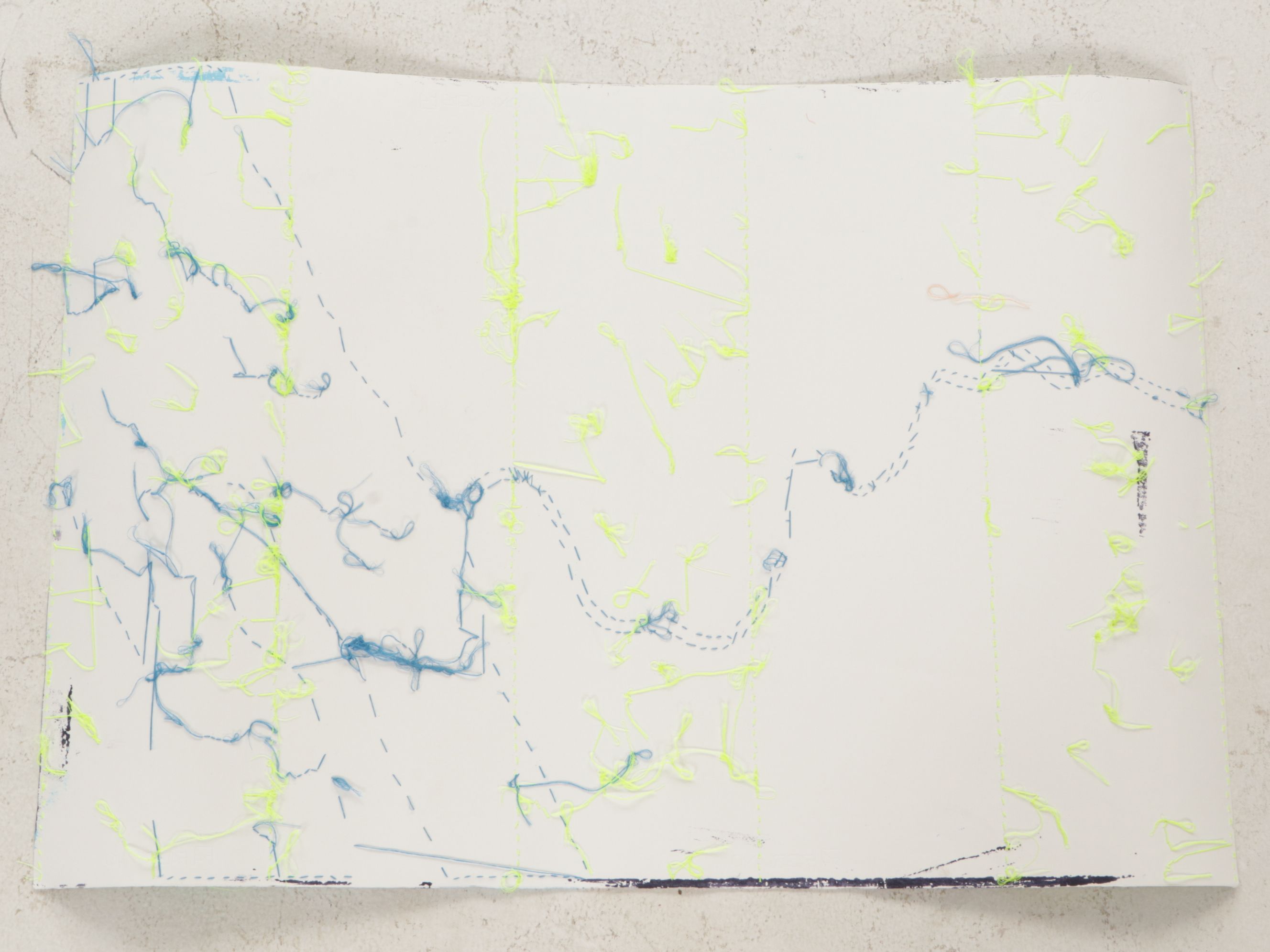 Tarli Bird Hand-Embroidered Serigraph of a Stylized Metropolitan Map