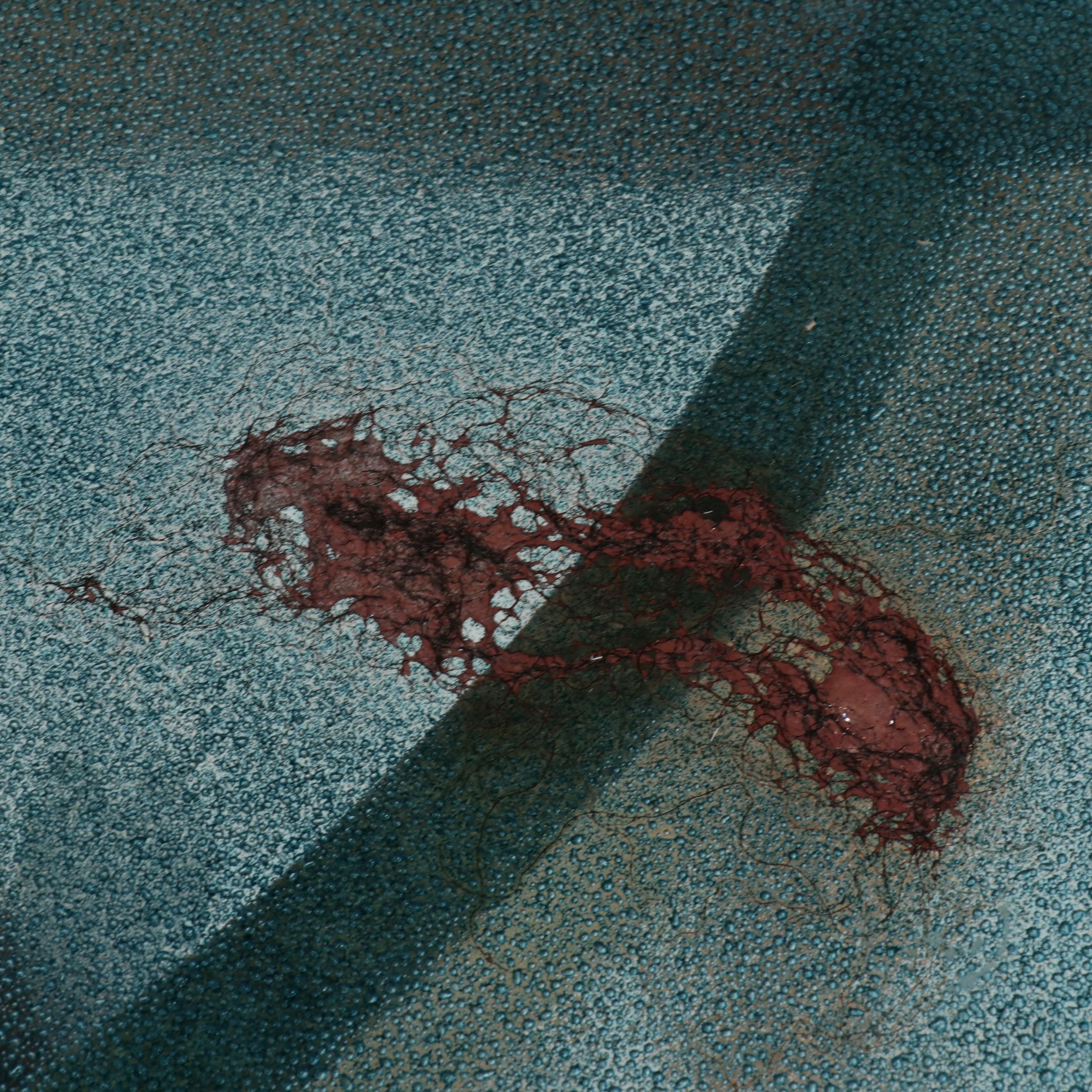 Postmodern Glass and Maple Console Table, Late 20th Century