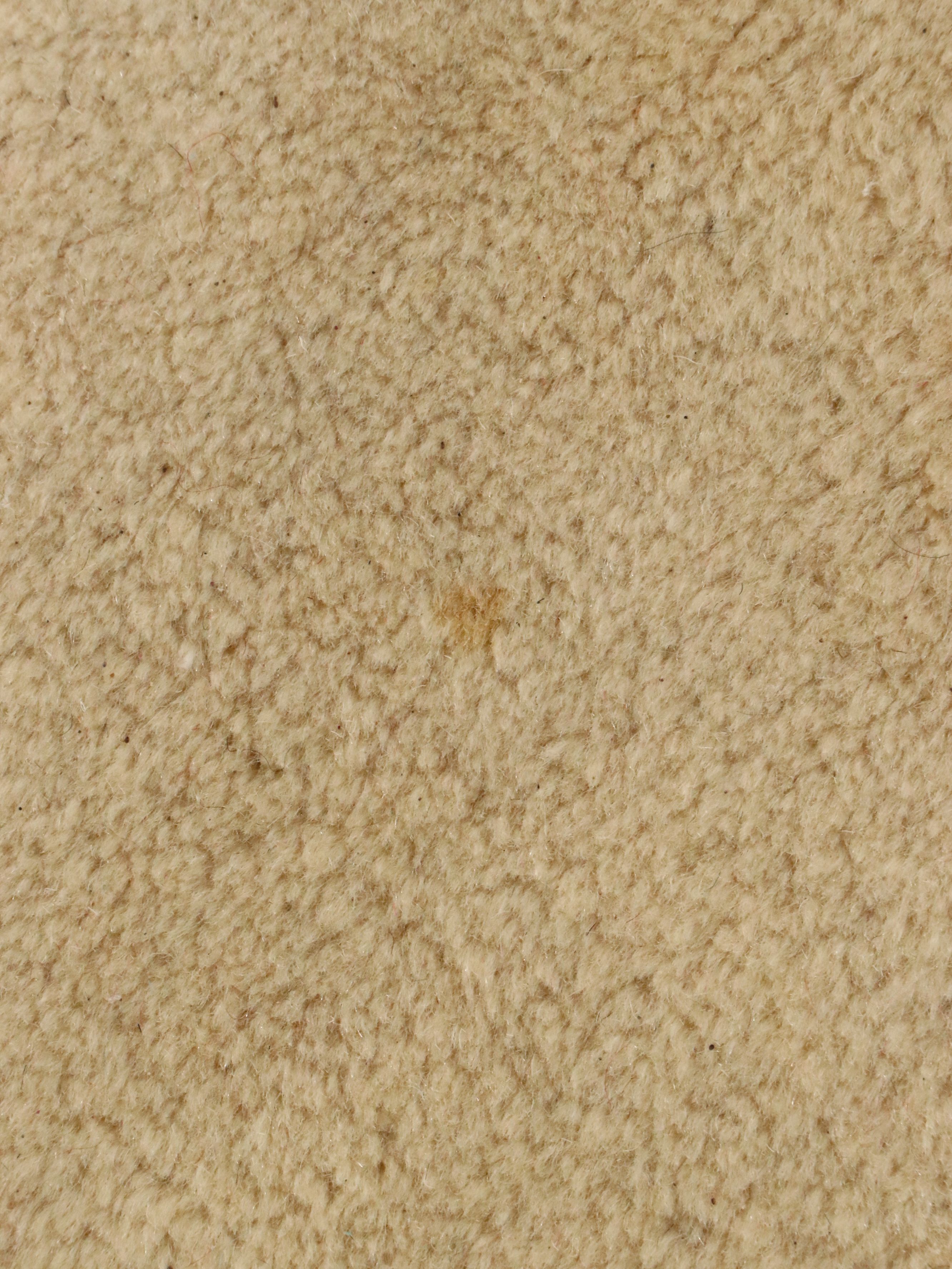 10'10 x 16'6 Hand-Knotted Persian Kerman Room Sized Rug