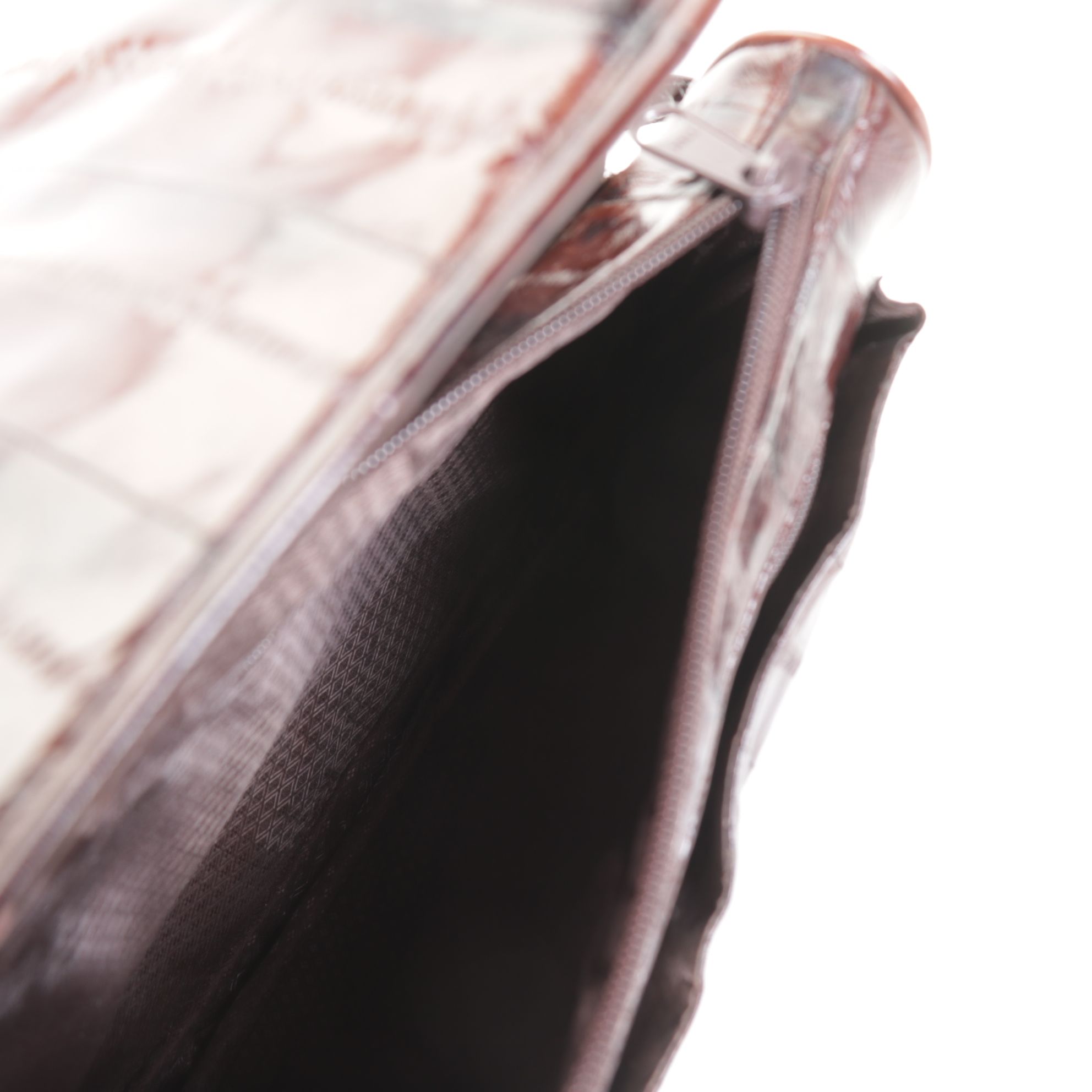 Eel Skin Crossbody Bag with Coach Leather Glasses Case, Madewell & More Purses