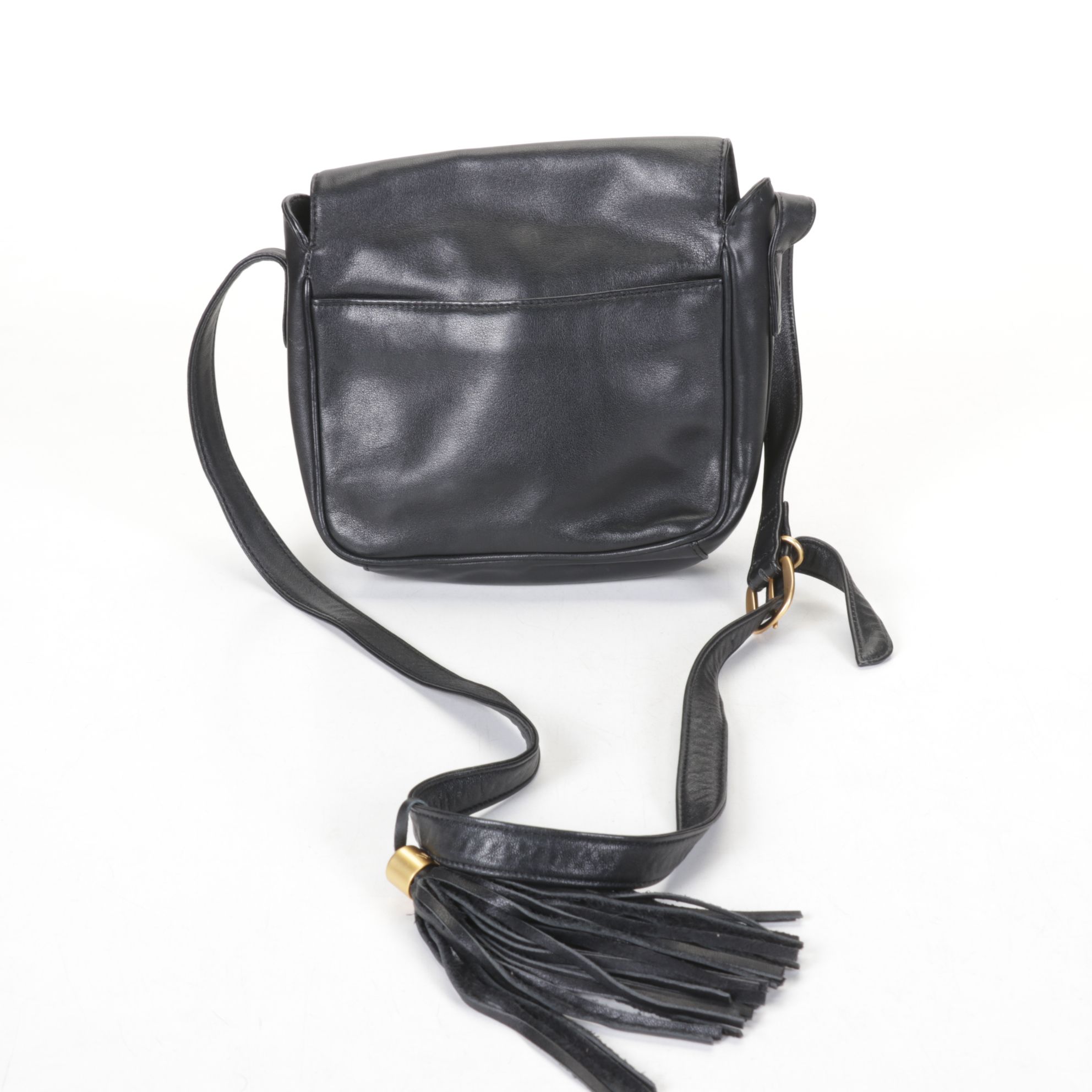 Eel Skin Crossbody Bag with Coach Leather Glasses Case, Madewell & More Purses