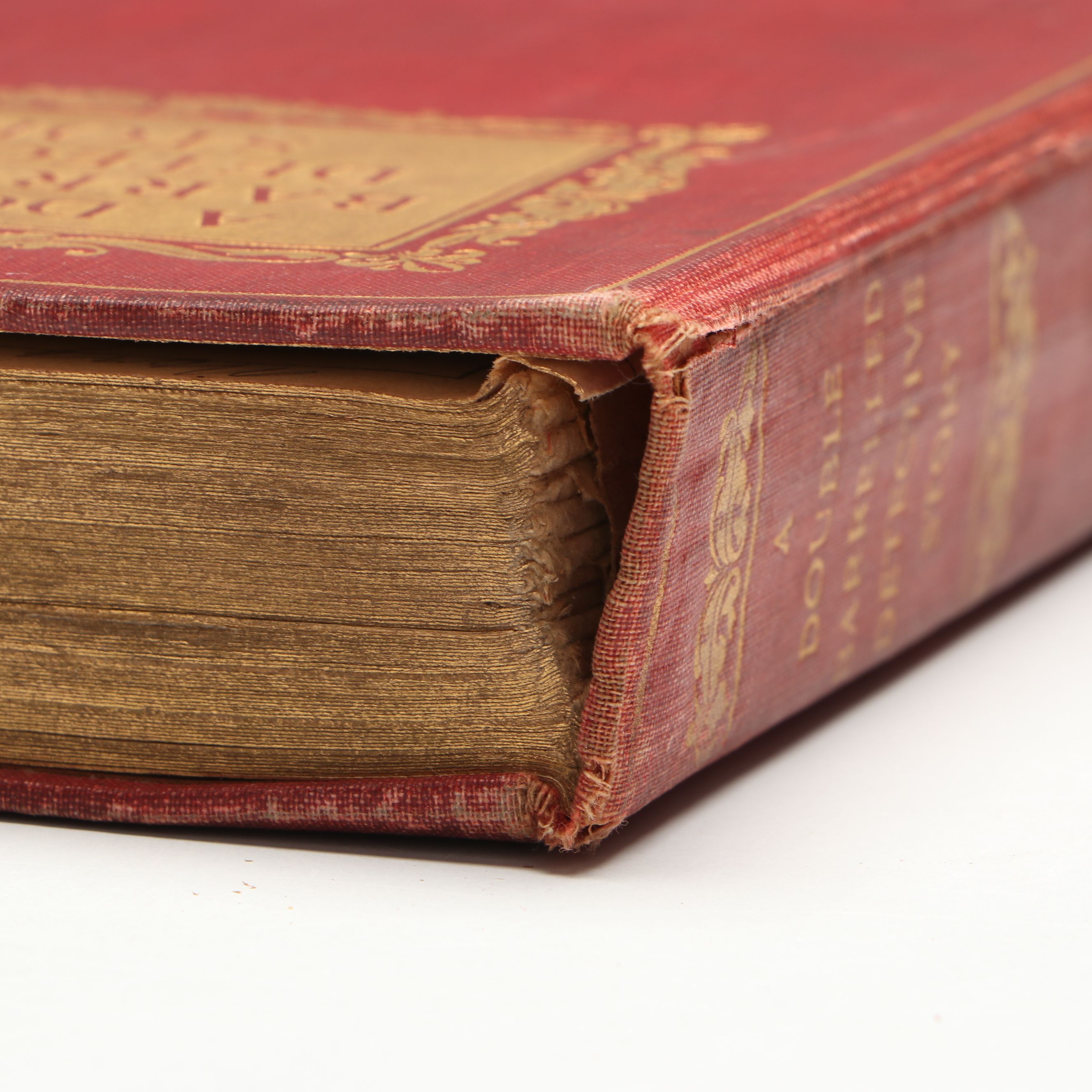 Illustrated "A Double Barrelled Detective Story" by Mark Twain, 1902