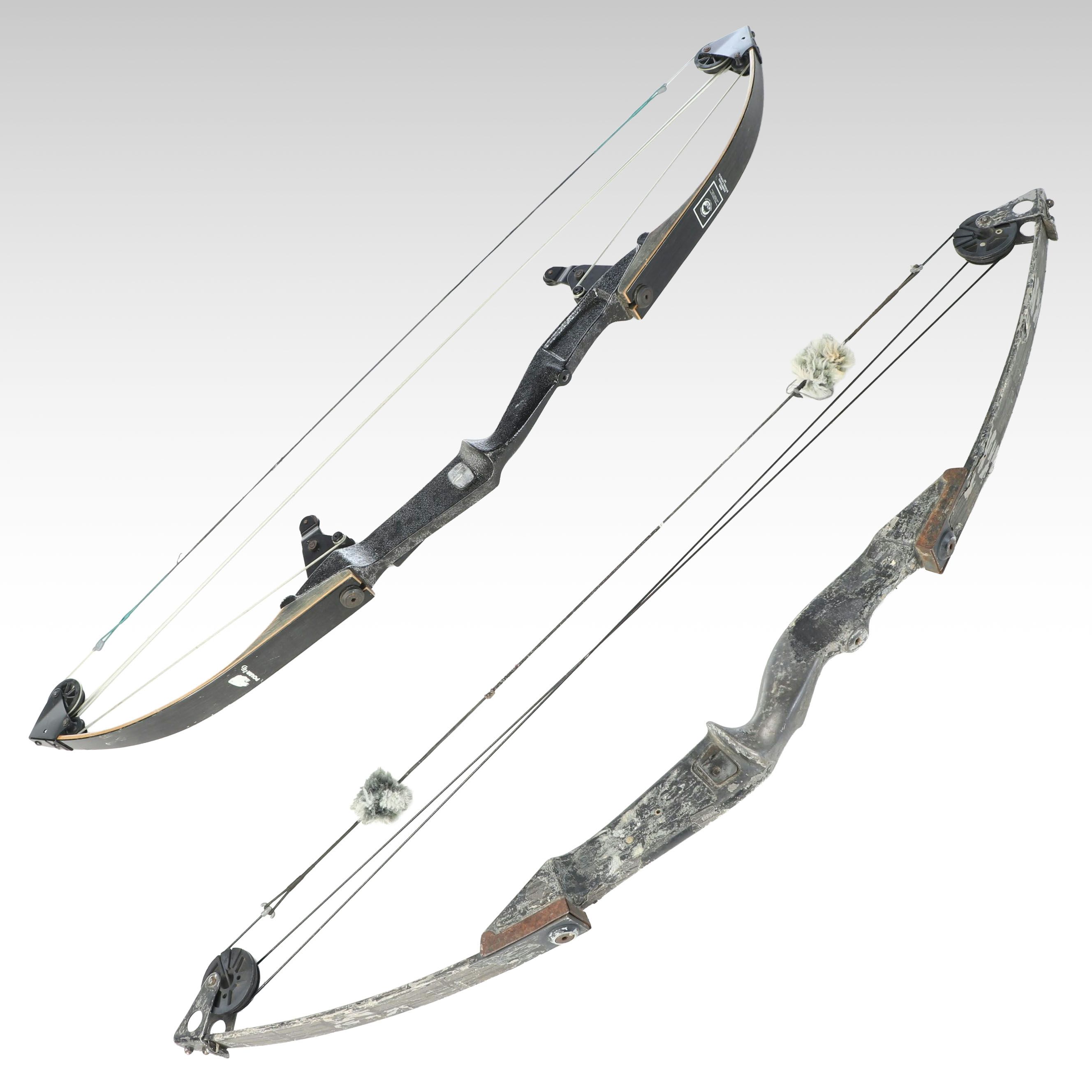 Bear Polar Ltd. Compound Bow with Other Archery Bow