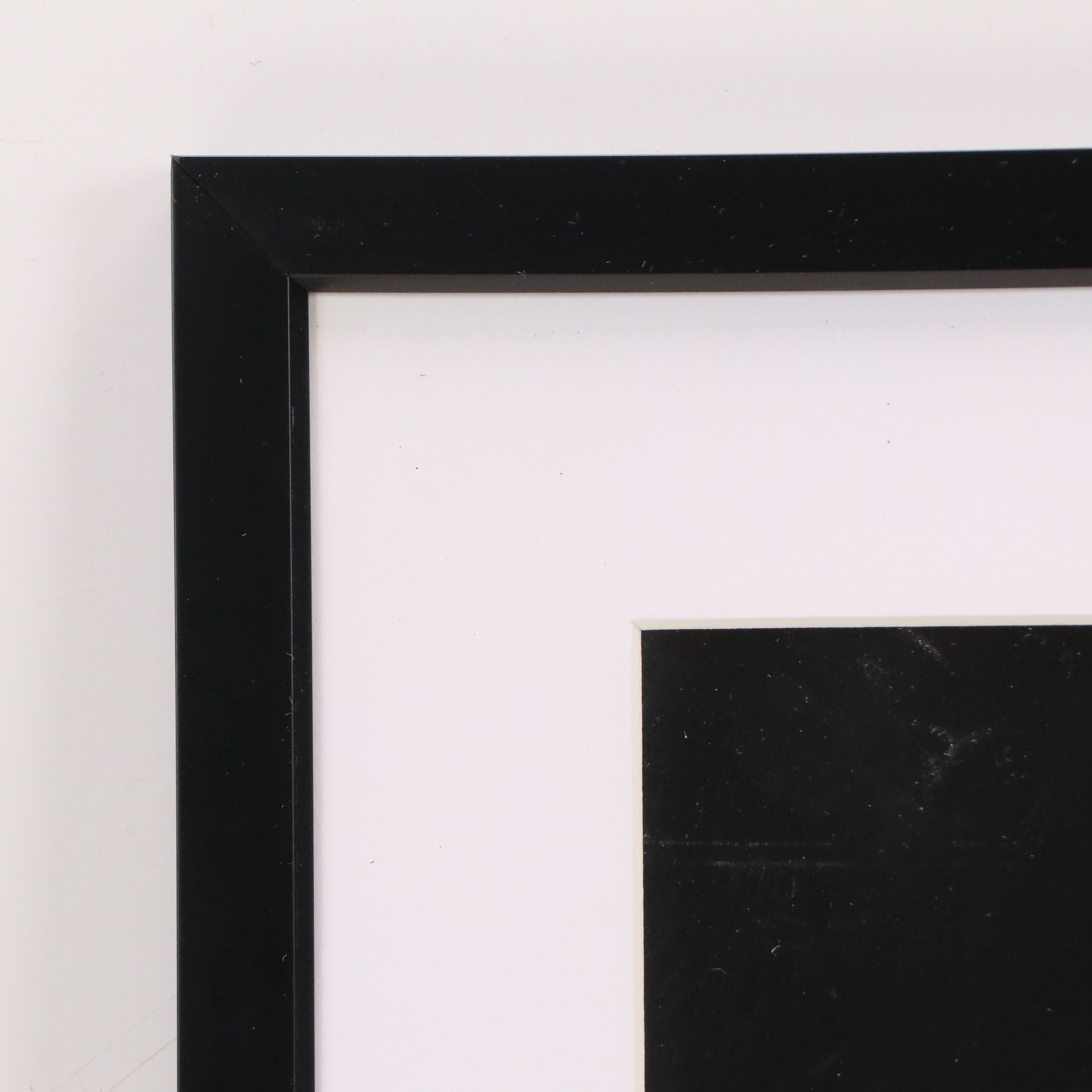 Offset Lithograph of Daisies, 21st Century