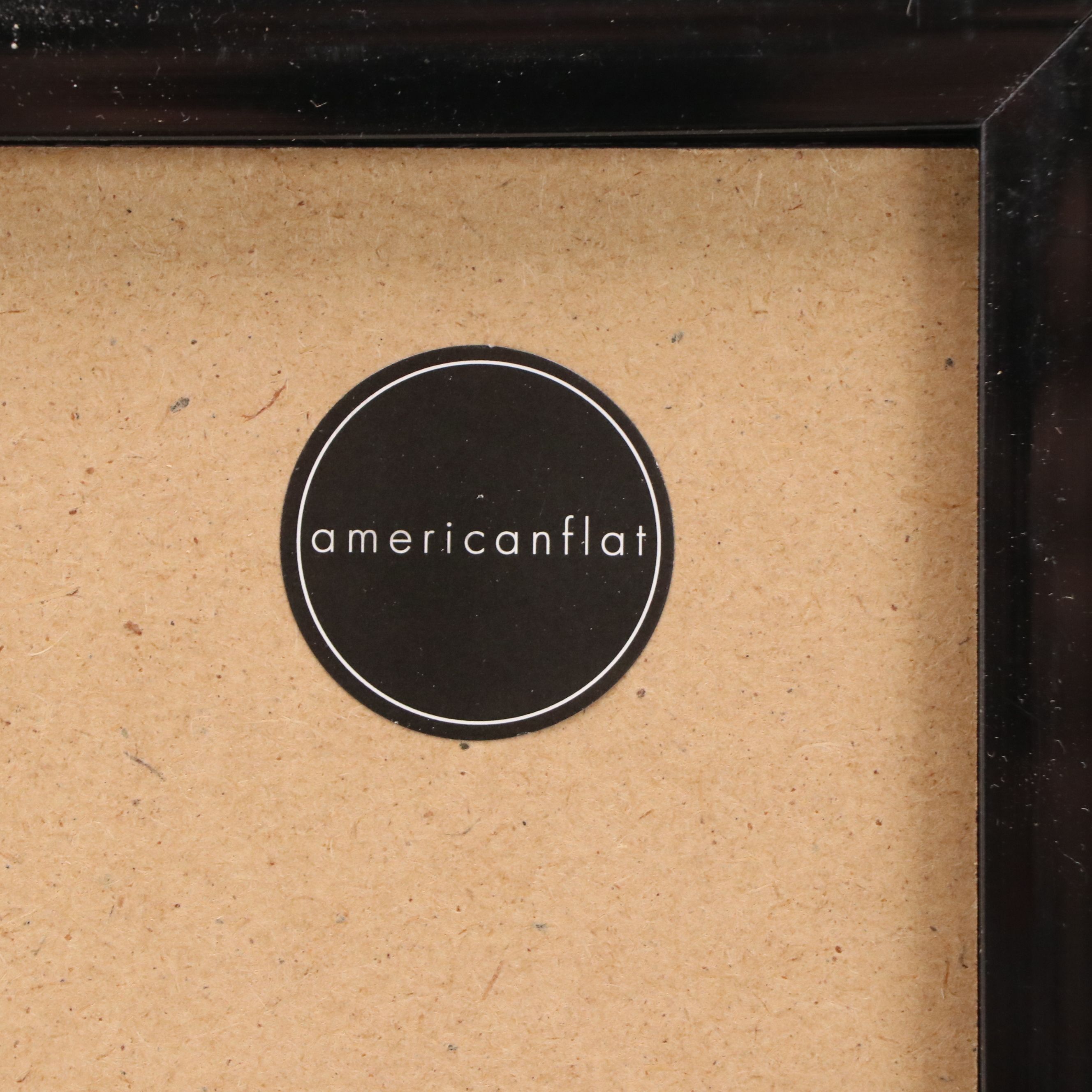 Offset Lithograph of Daisies, 21st Century