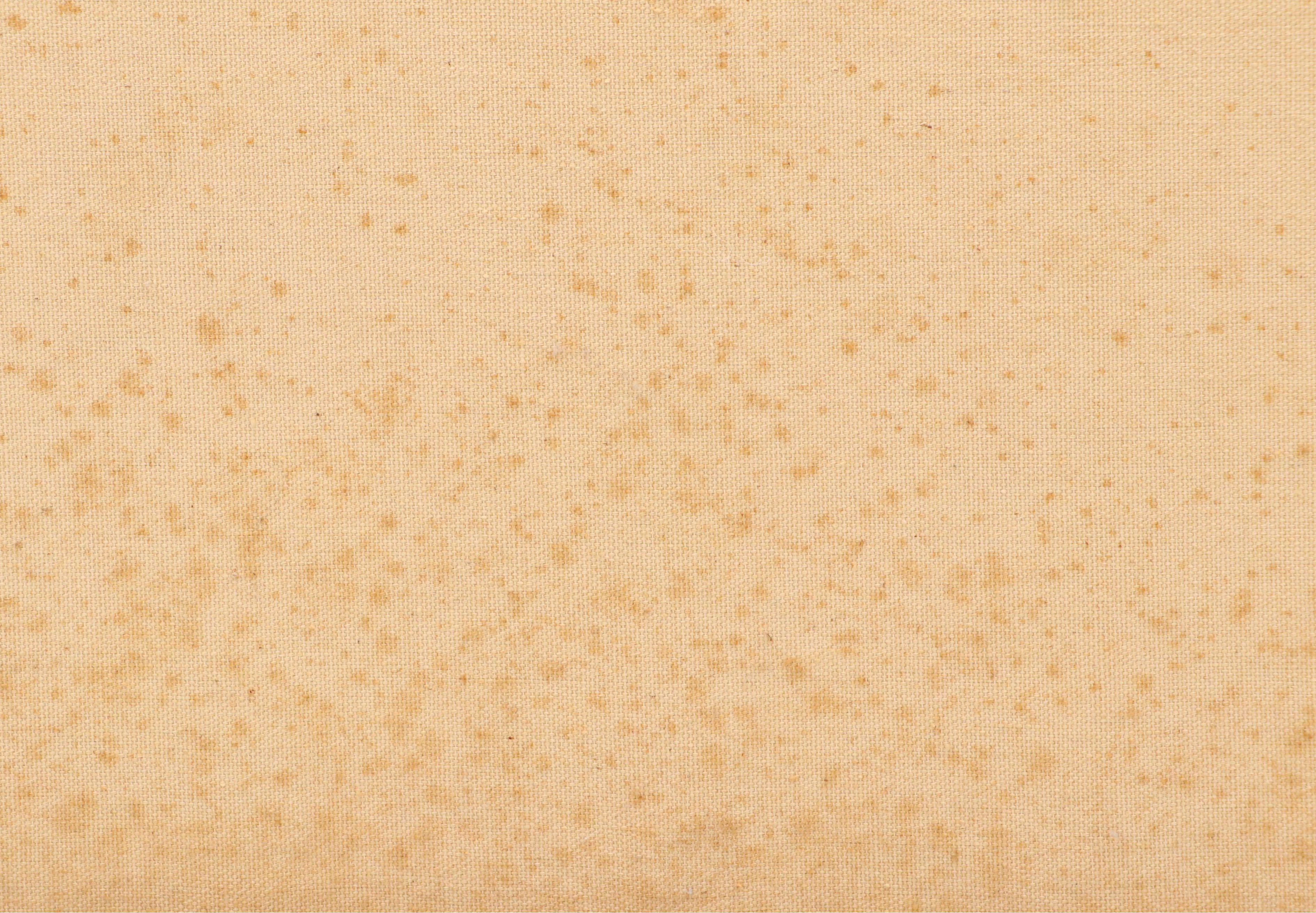 H. Soper Oil Portrait of Young Woman with Spaniel, Circa Early 20th Century