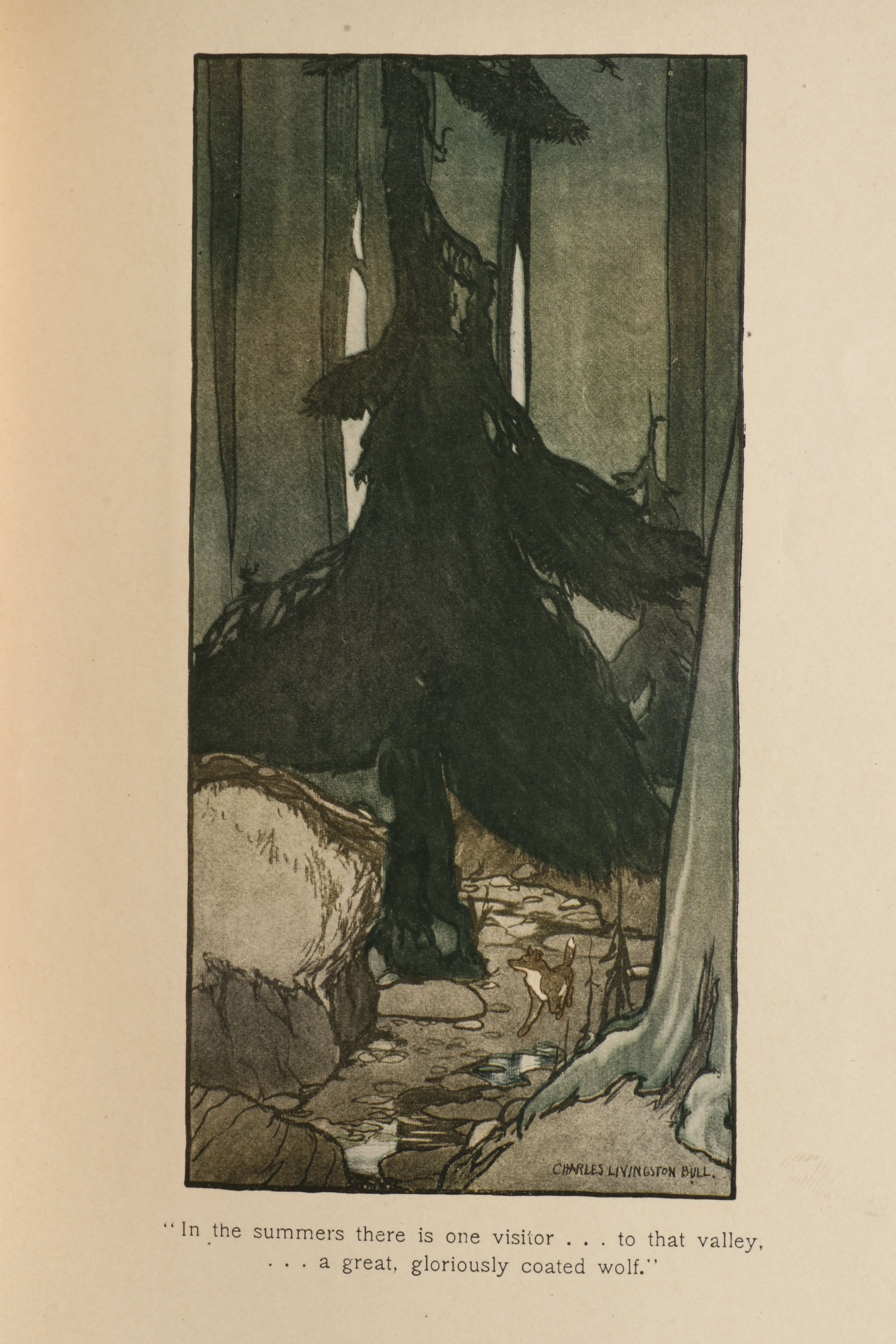 First Edition, First Printing "The Call of the Wild" by Jack London, 1903