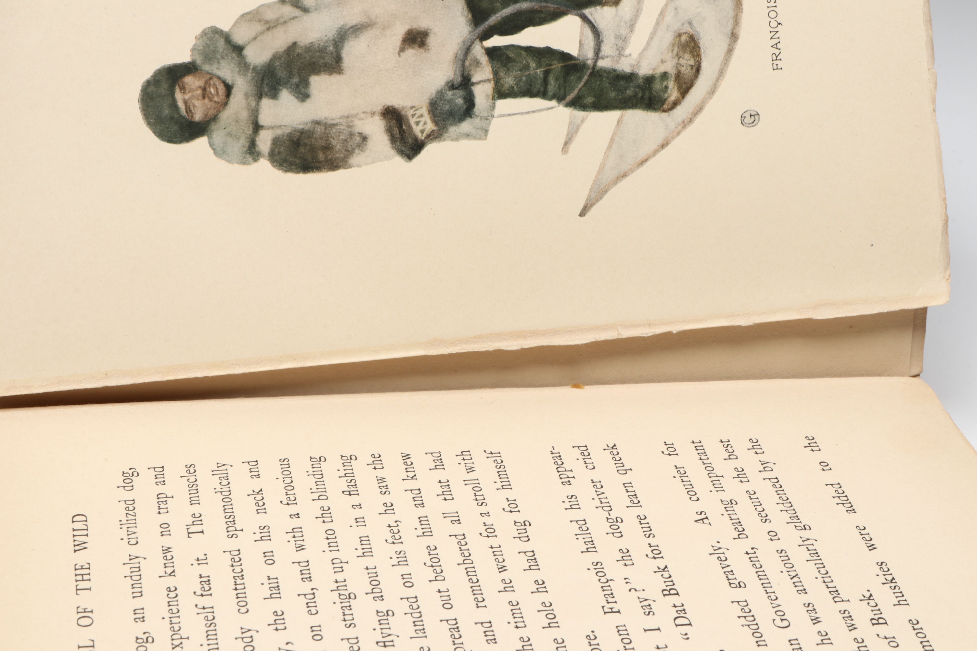 First Edition, First Printing "The Call of the Wild" by Jack London, 1903