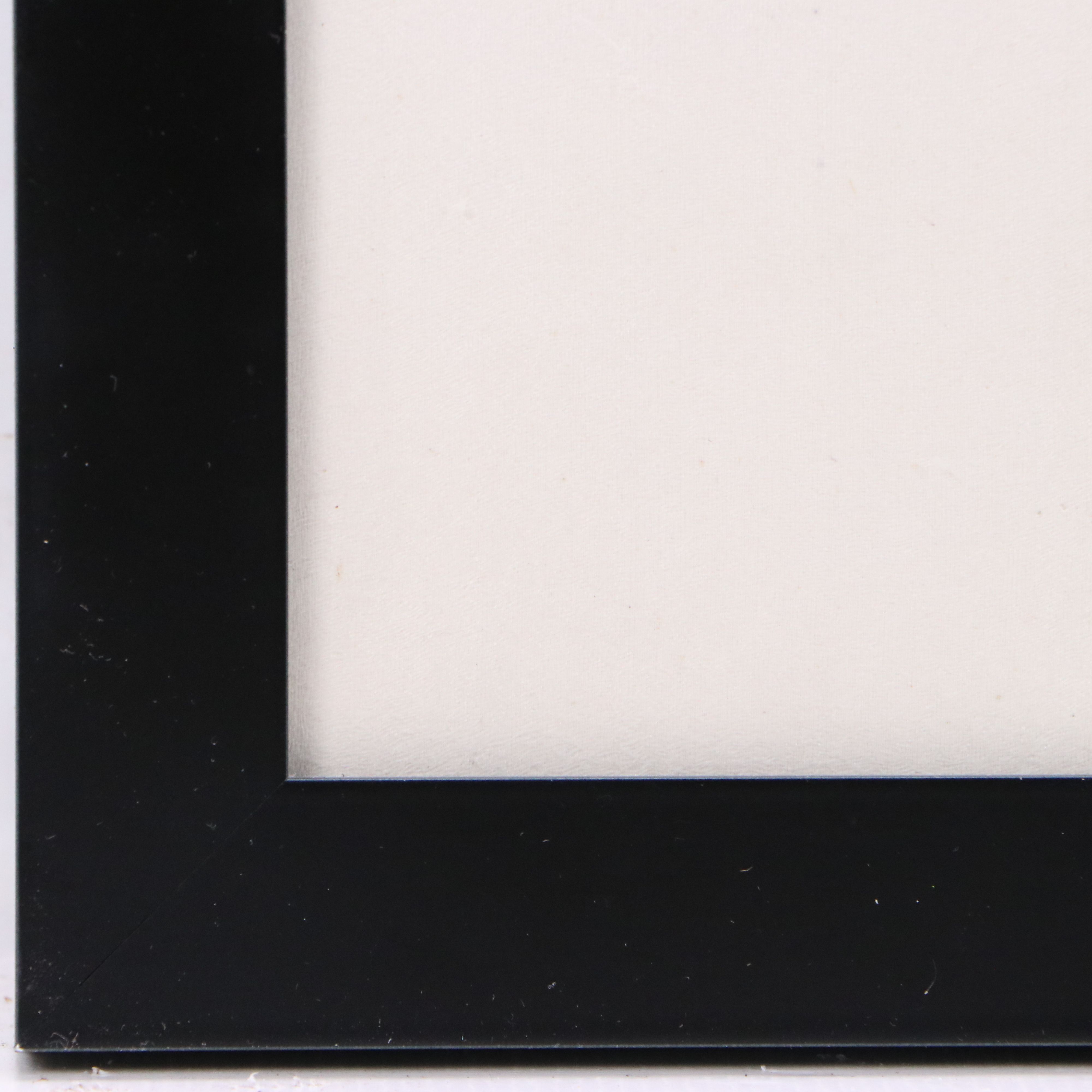 Chinese Sumi-e Ink Wash Painting of Two Sparrows Perched on Branch