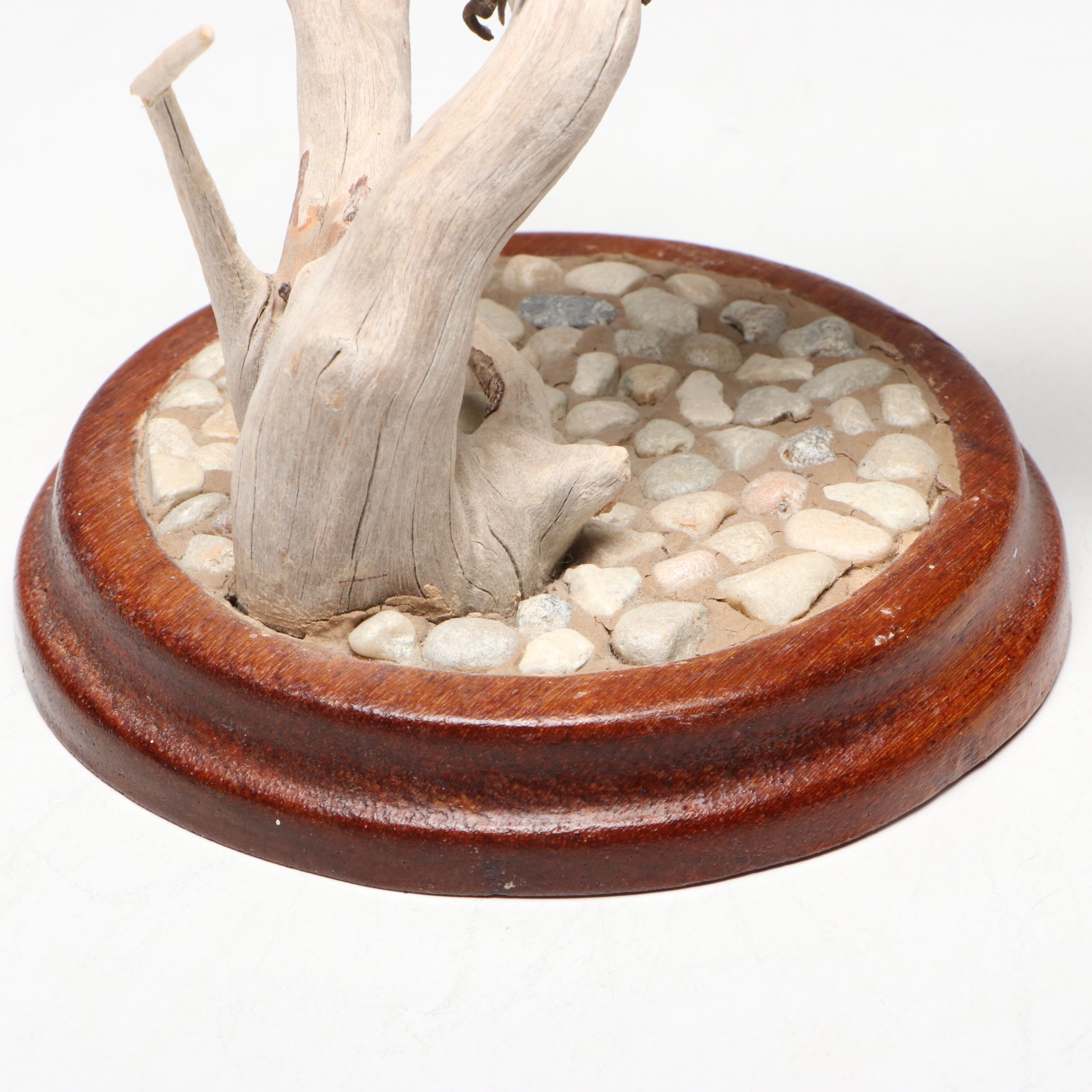 C. G. Smith Hand-Carved Wooden Bird on Branch, 1988