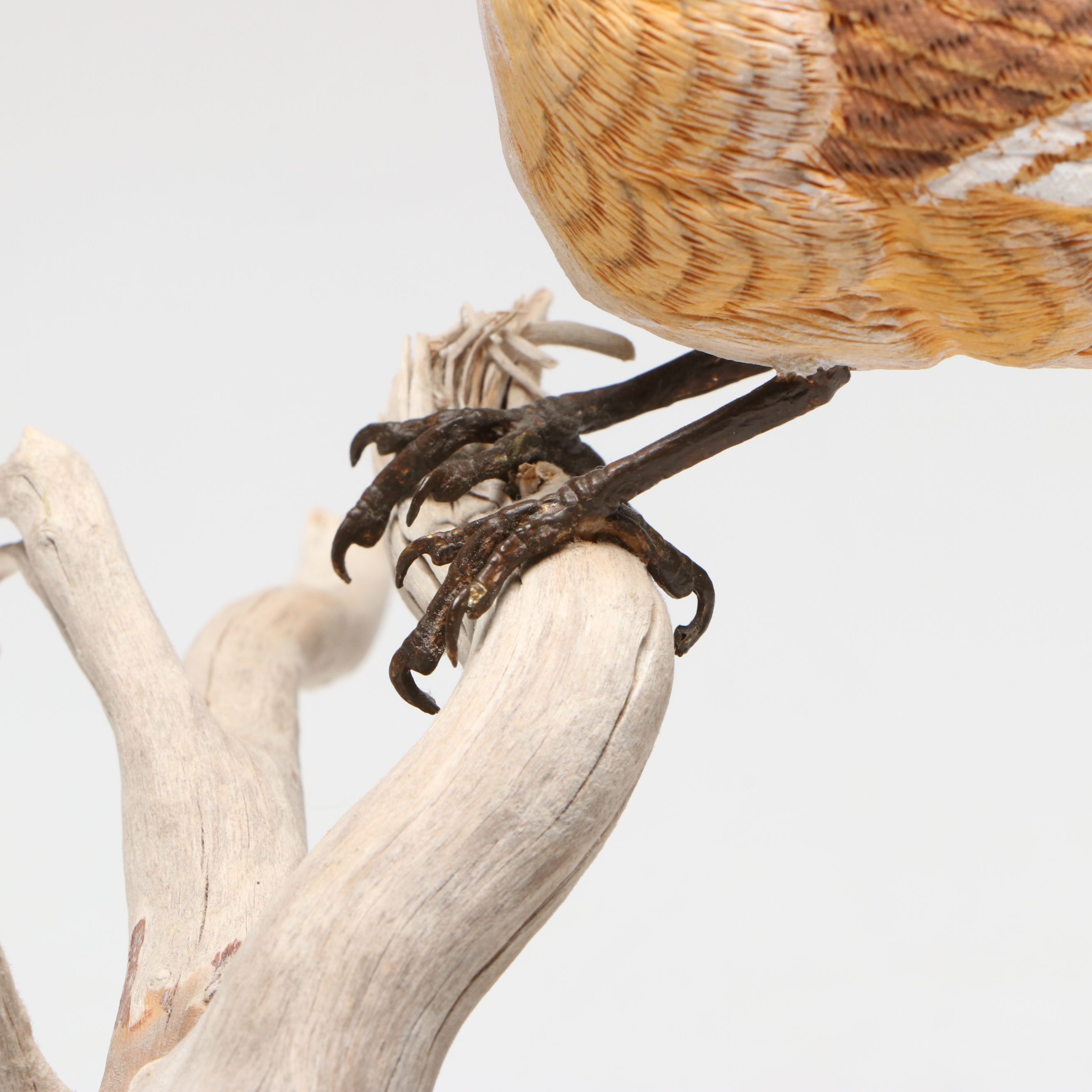 C. G. Smith Hand-Carved Wooden Bird on Branch, 1988