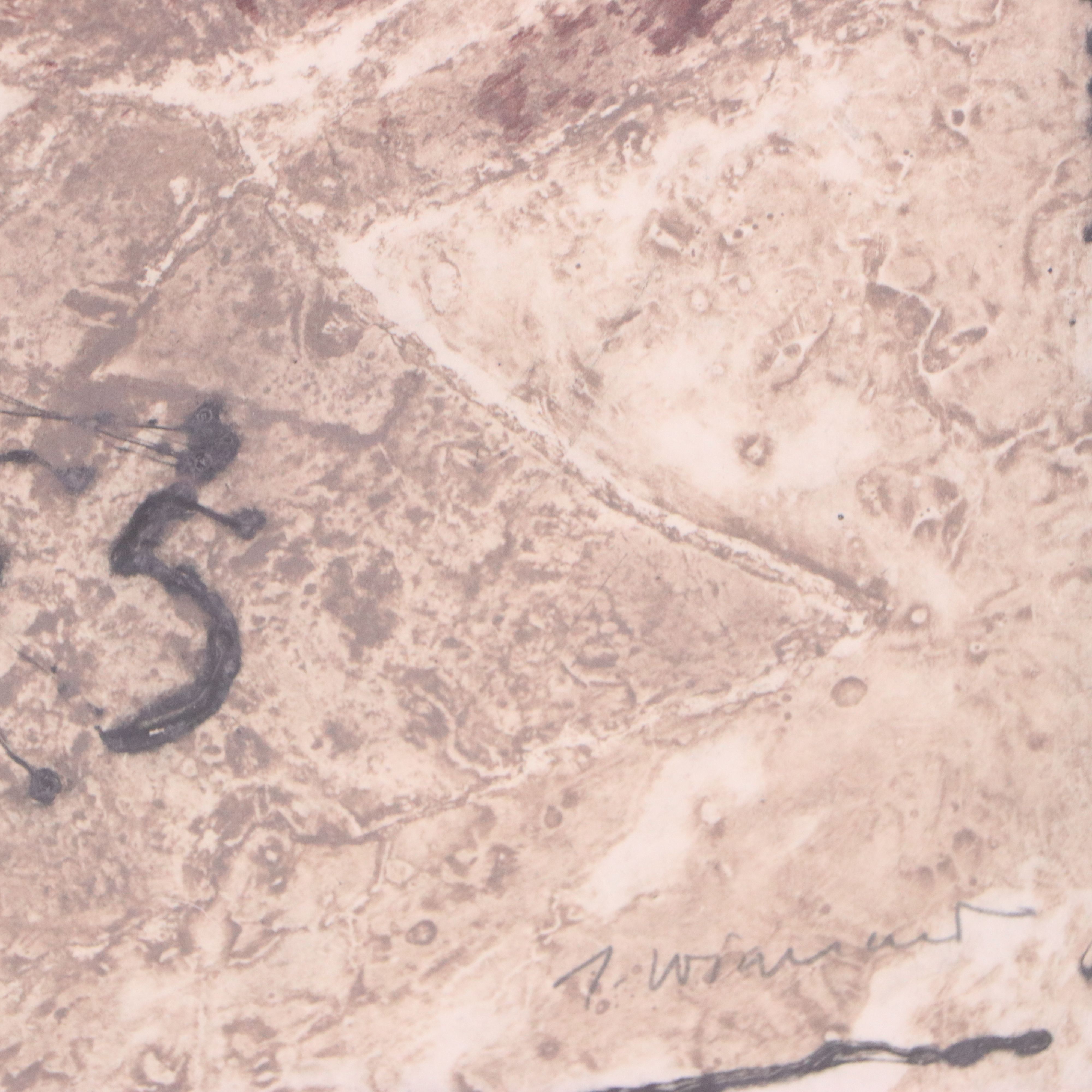 James Coignard Mixed Method Print "Nomenclature autour d'une tête"