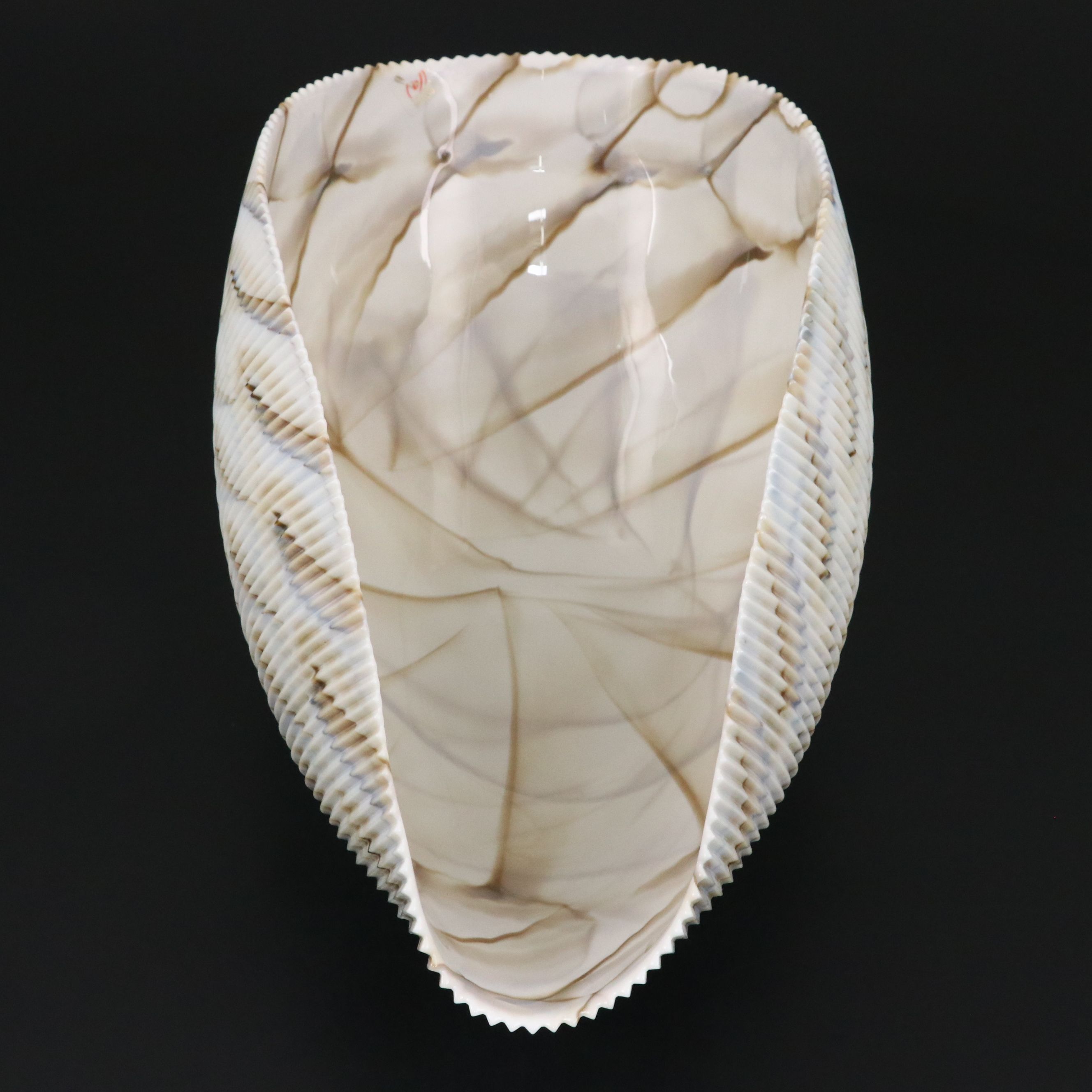 Vetro Artistico Murano Art Glass Shell Decorative Bowl