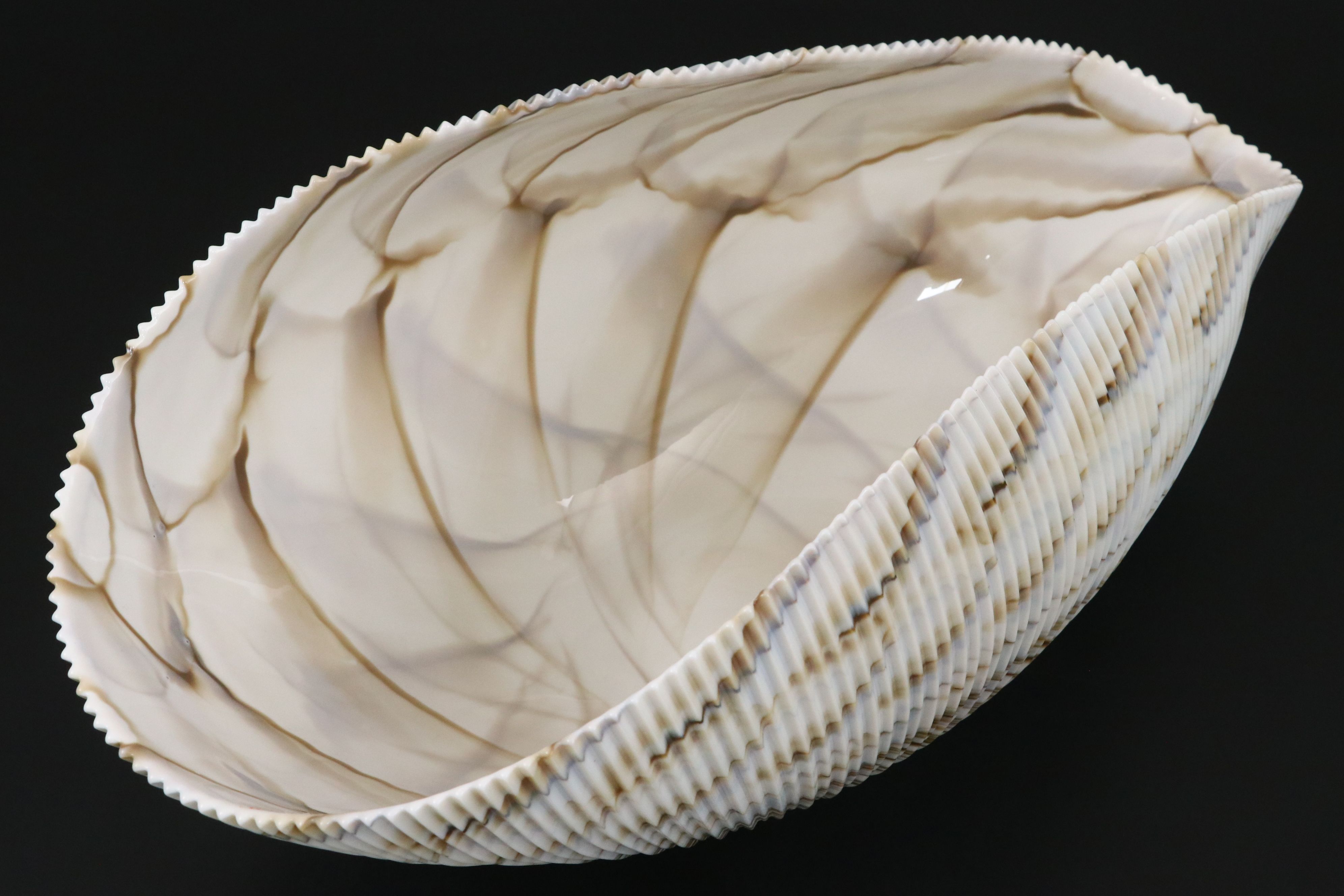 Vetro Artistico Murano Art Glass Shell Decorative Bowl