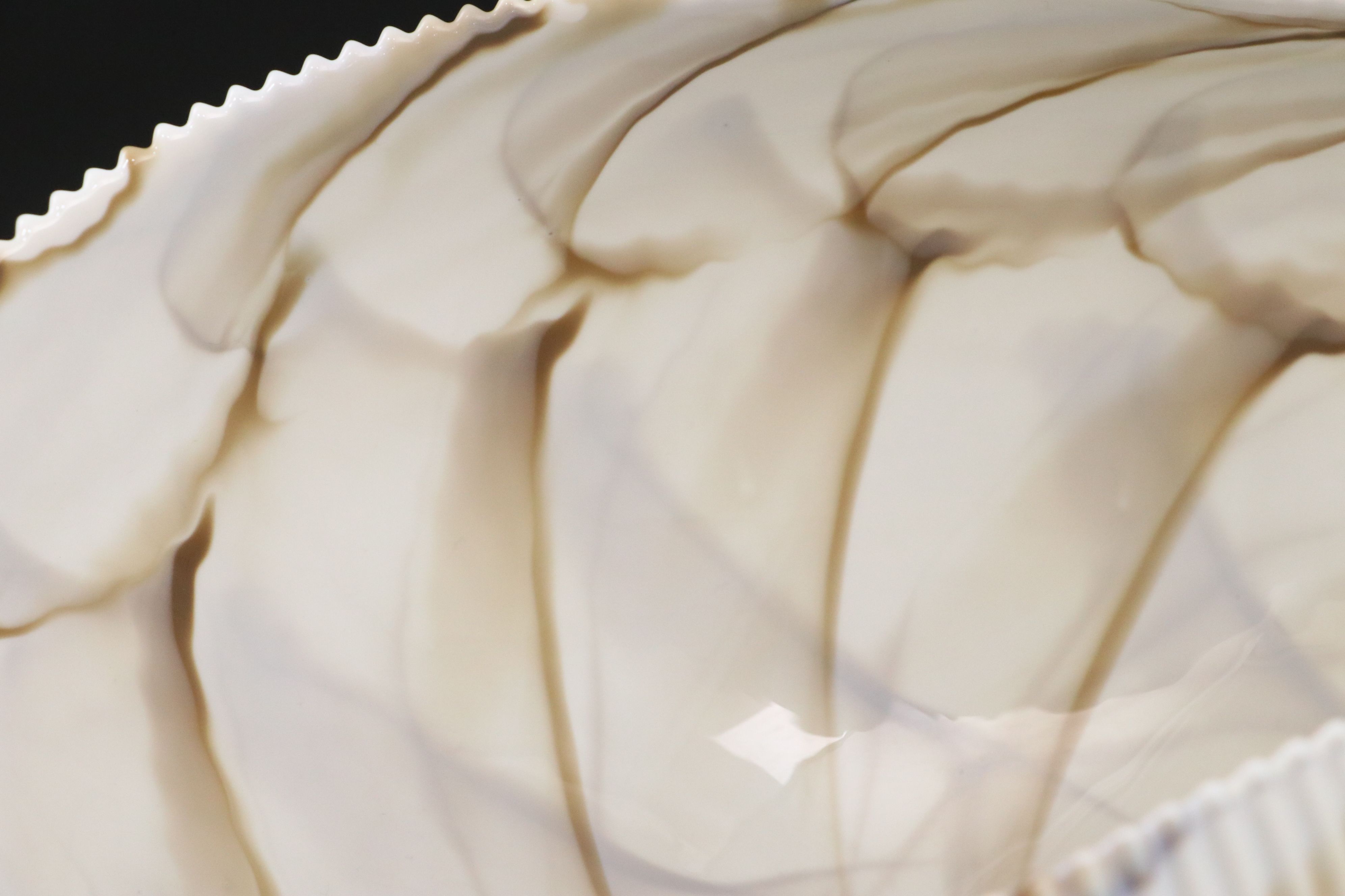 Vetro Artistico Murano Art Glass Shell Decorative Bowl