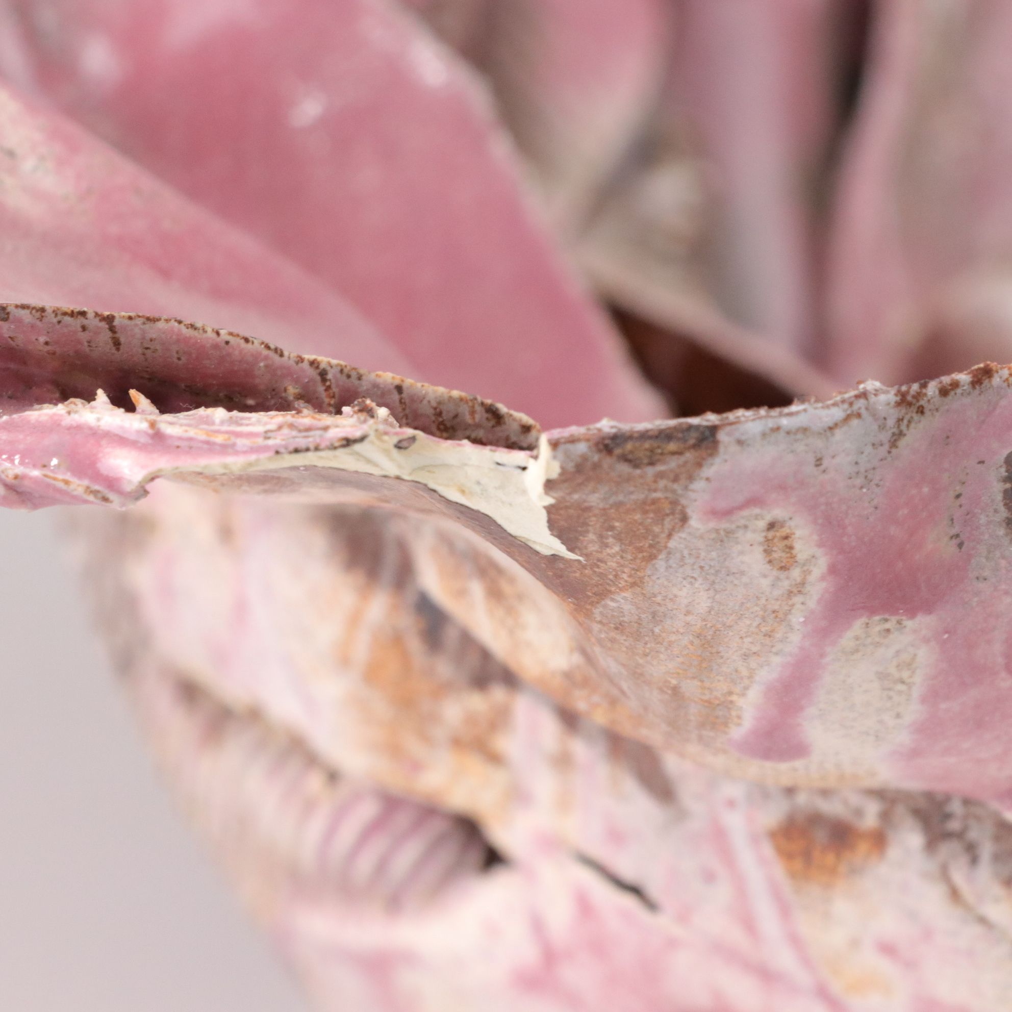 Handcrafted Sculptural Pink Flower and Turquoise Ceramic Bowls