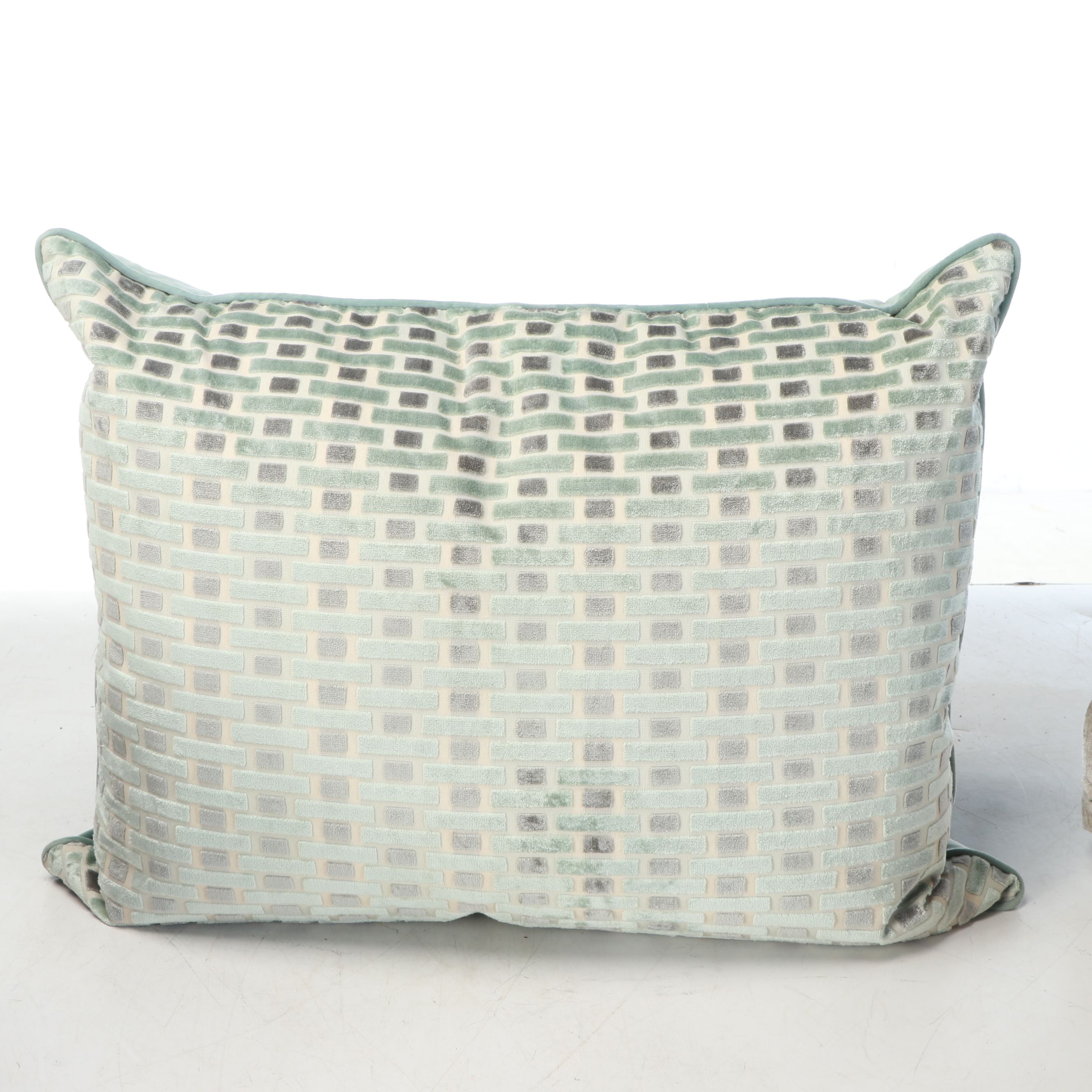 Arhaus Zebra Print Accent Pillow with More Throw Pillows