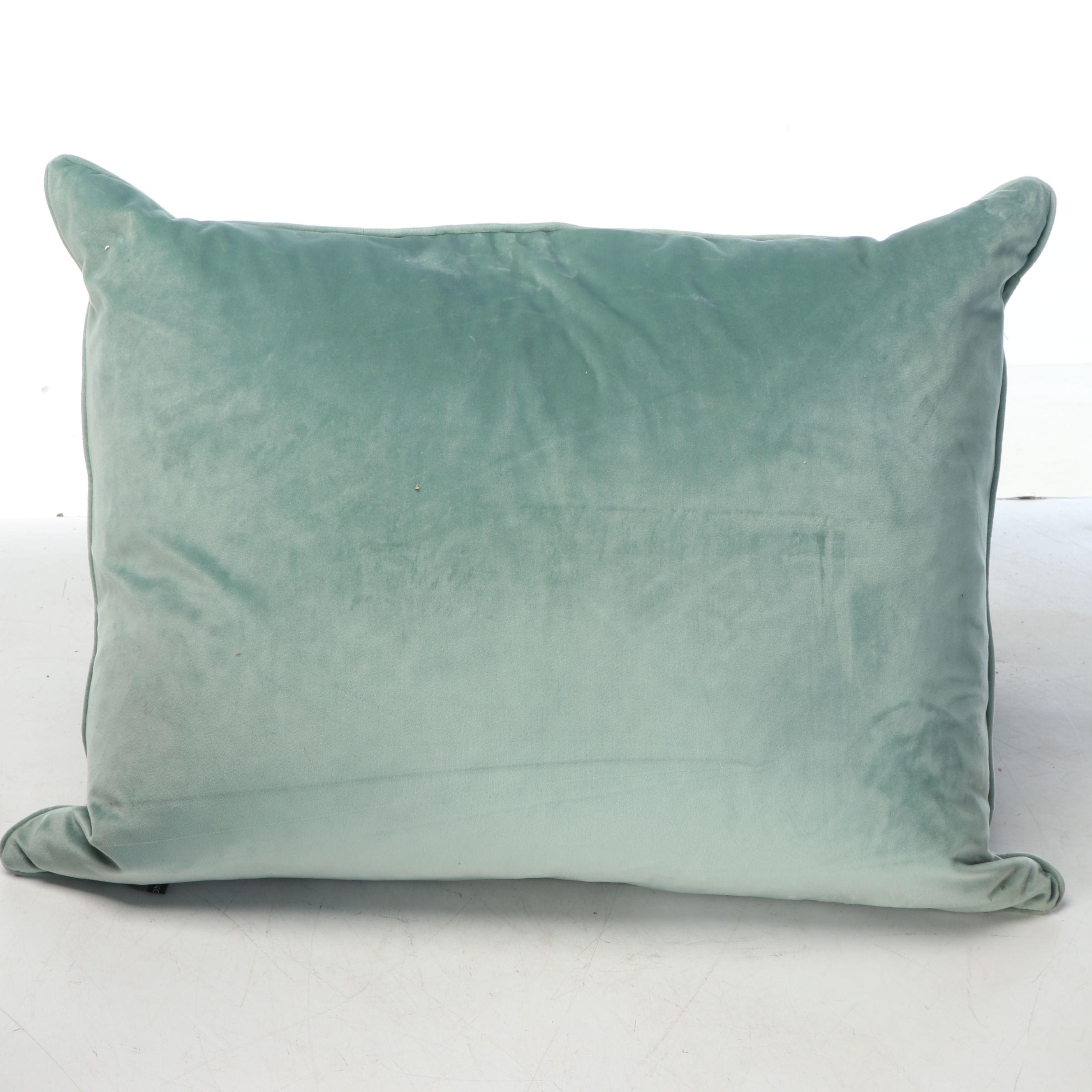 Arhaus Zebra Print Accent Pillow with More Throw Pillows