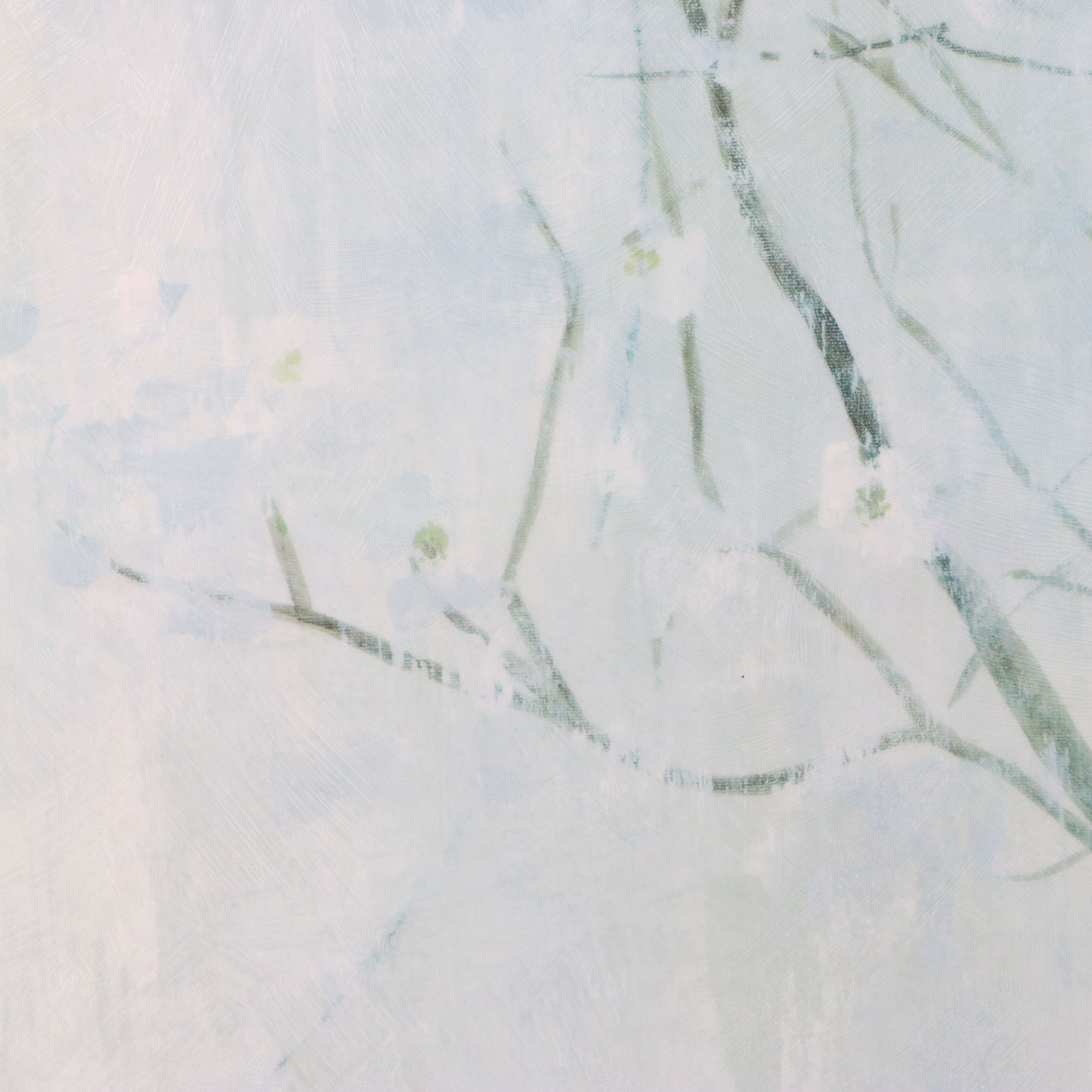 After Elizabeth Jardine Offset Lithograph "Champagne Blossoms," 21st Century