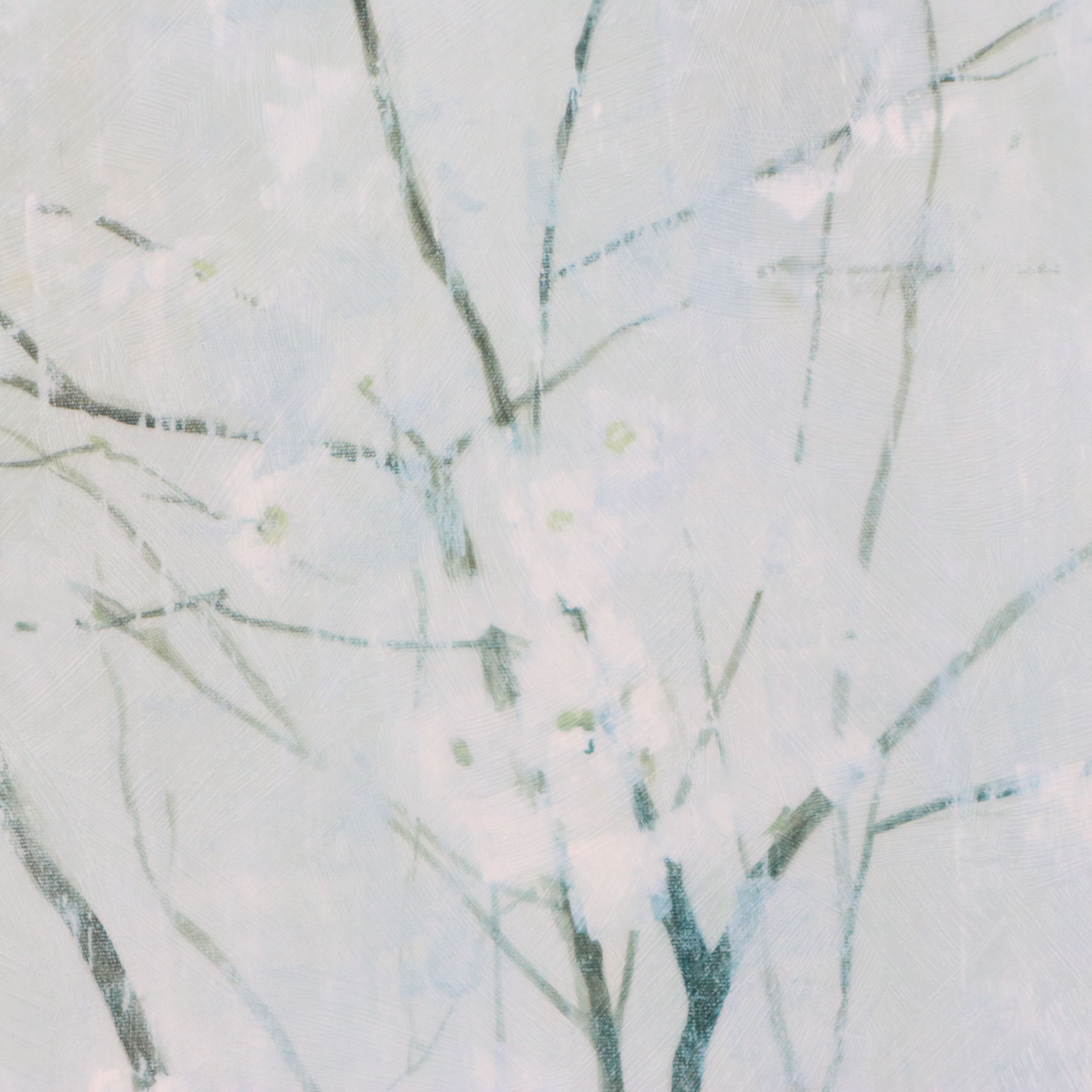 After Elizabeth Jardine Offset Lithograph "Champagne Blossoms," 21st Century