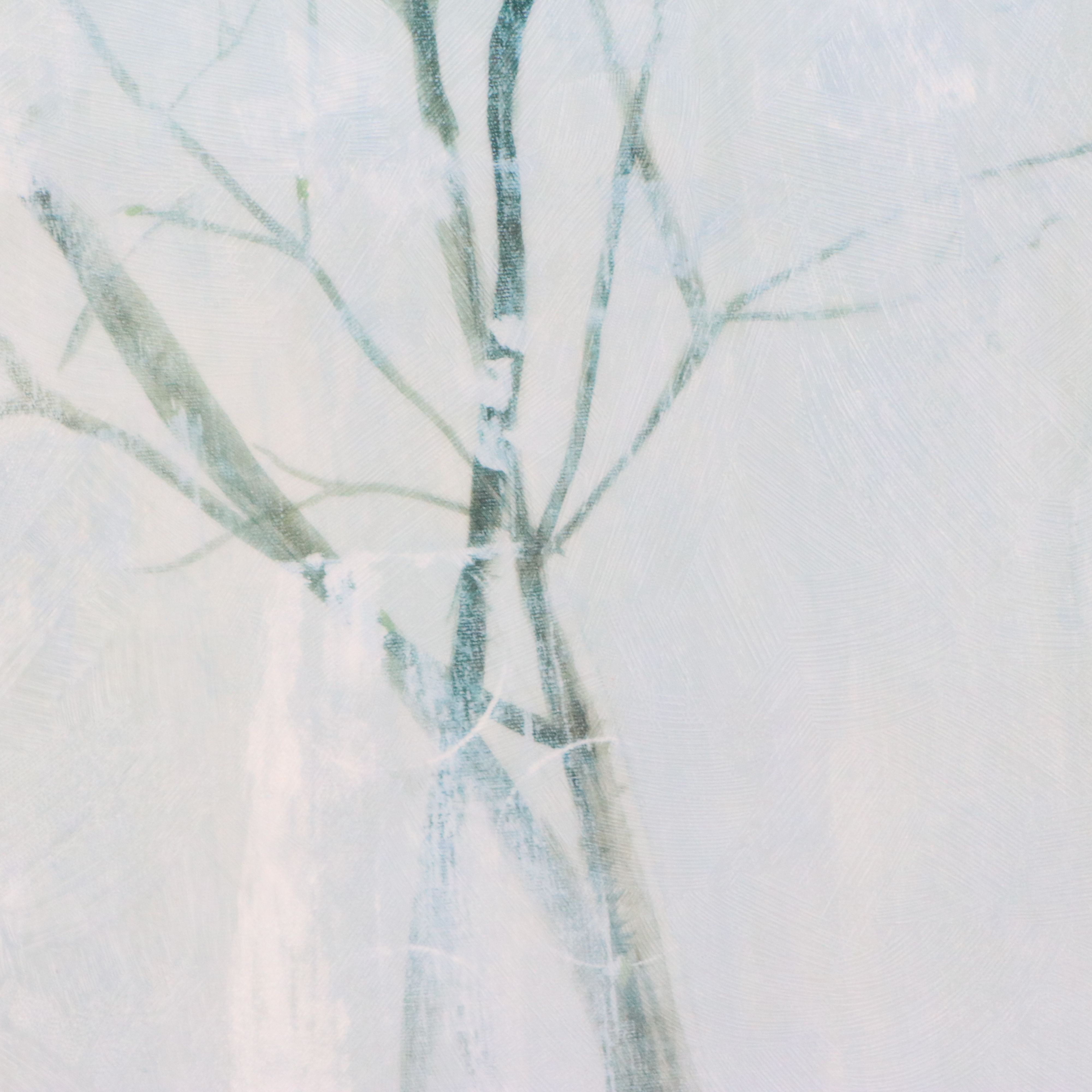 After Elizabeth Jardine Offset Lithograph "Champagne Blossoms," 21st Century