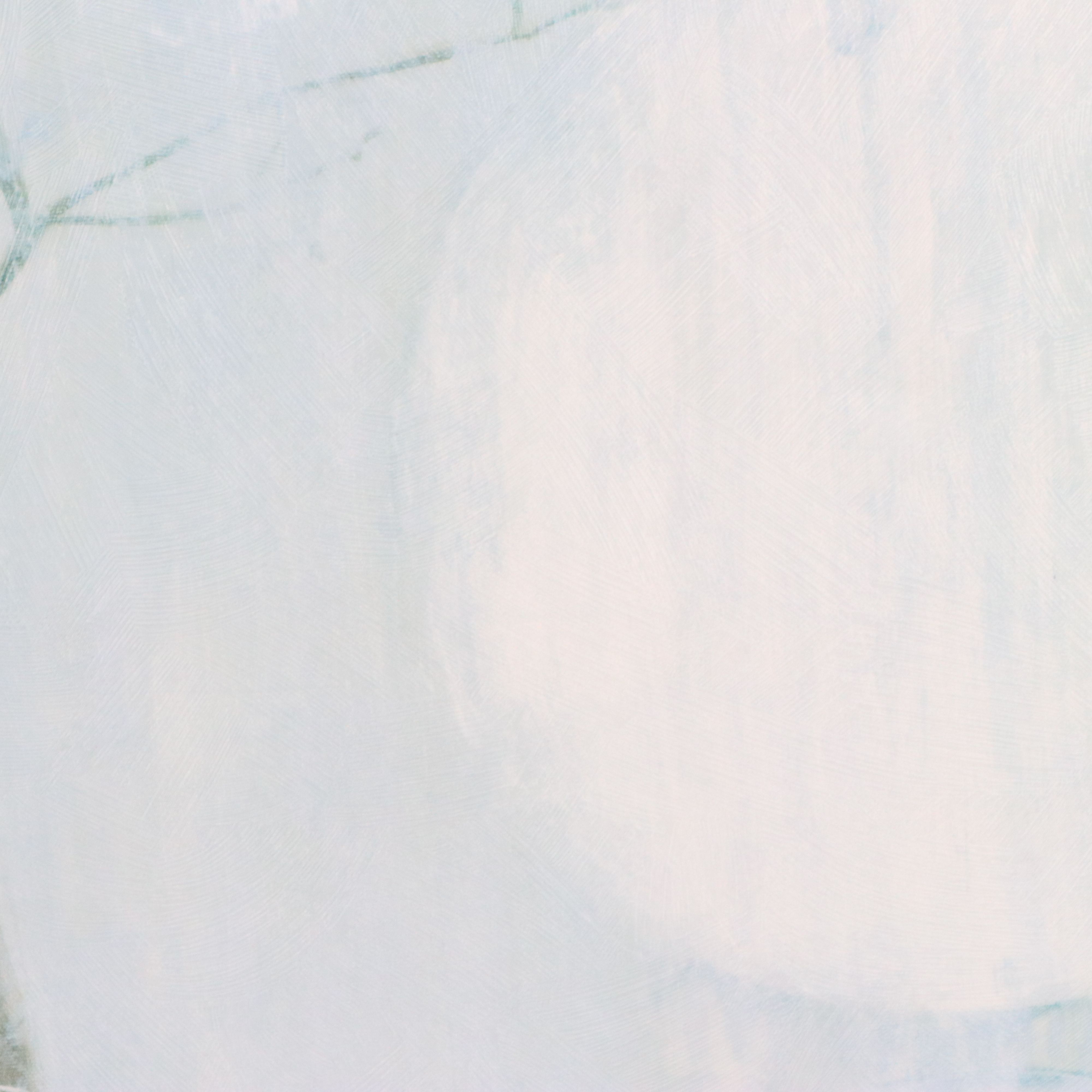 After Elizabeth Jardine Offset Lithograph "Champagne Blossoms," 21st Century