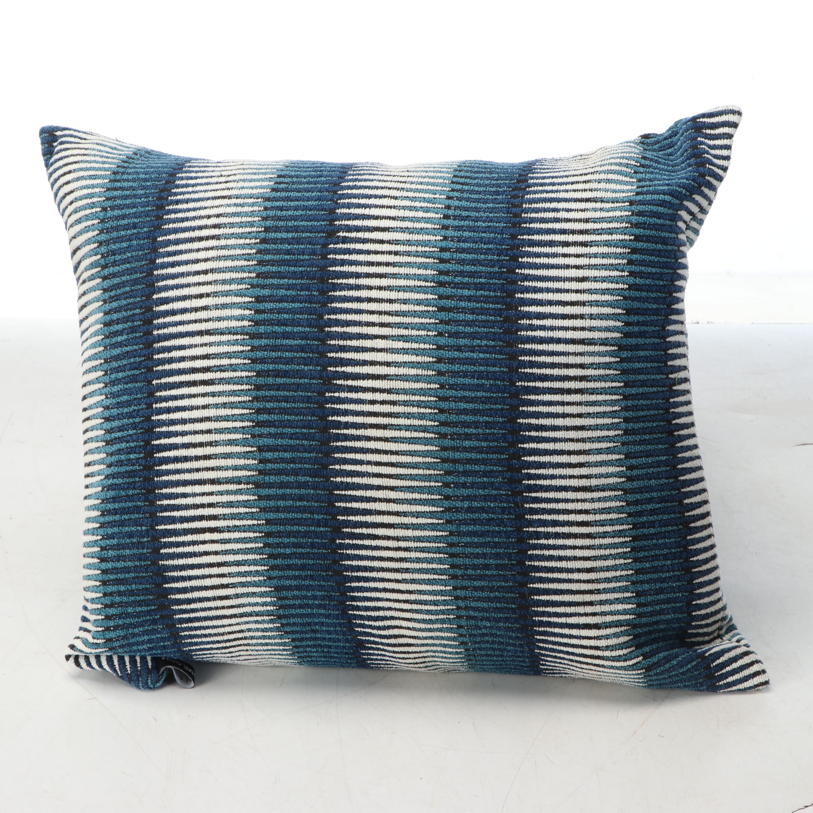 Blue and White Assorted Accent Pillows