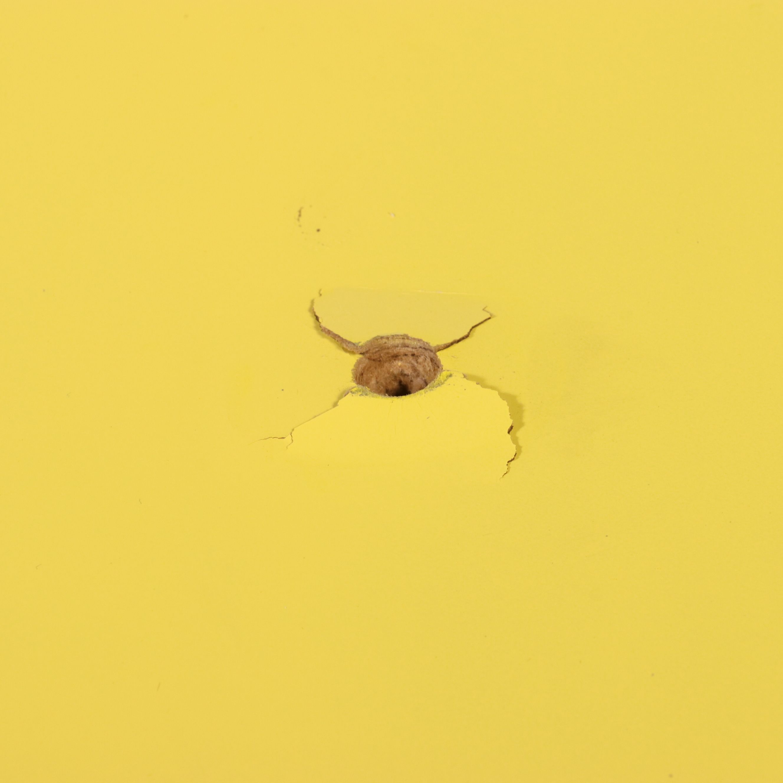 Contemporary Yellow Media Console Cabinet