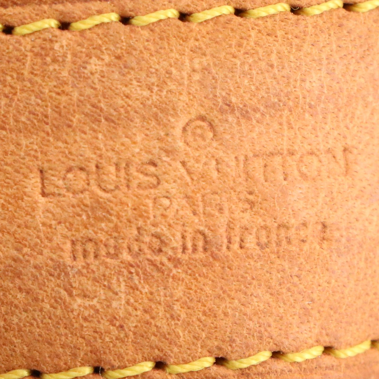 Louis Vuitton Mini Danube Bag in Monogram Canvas