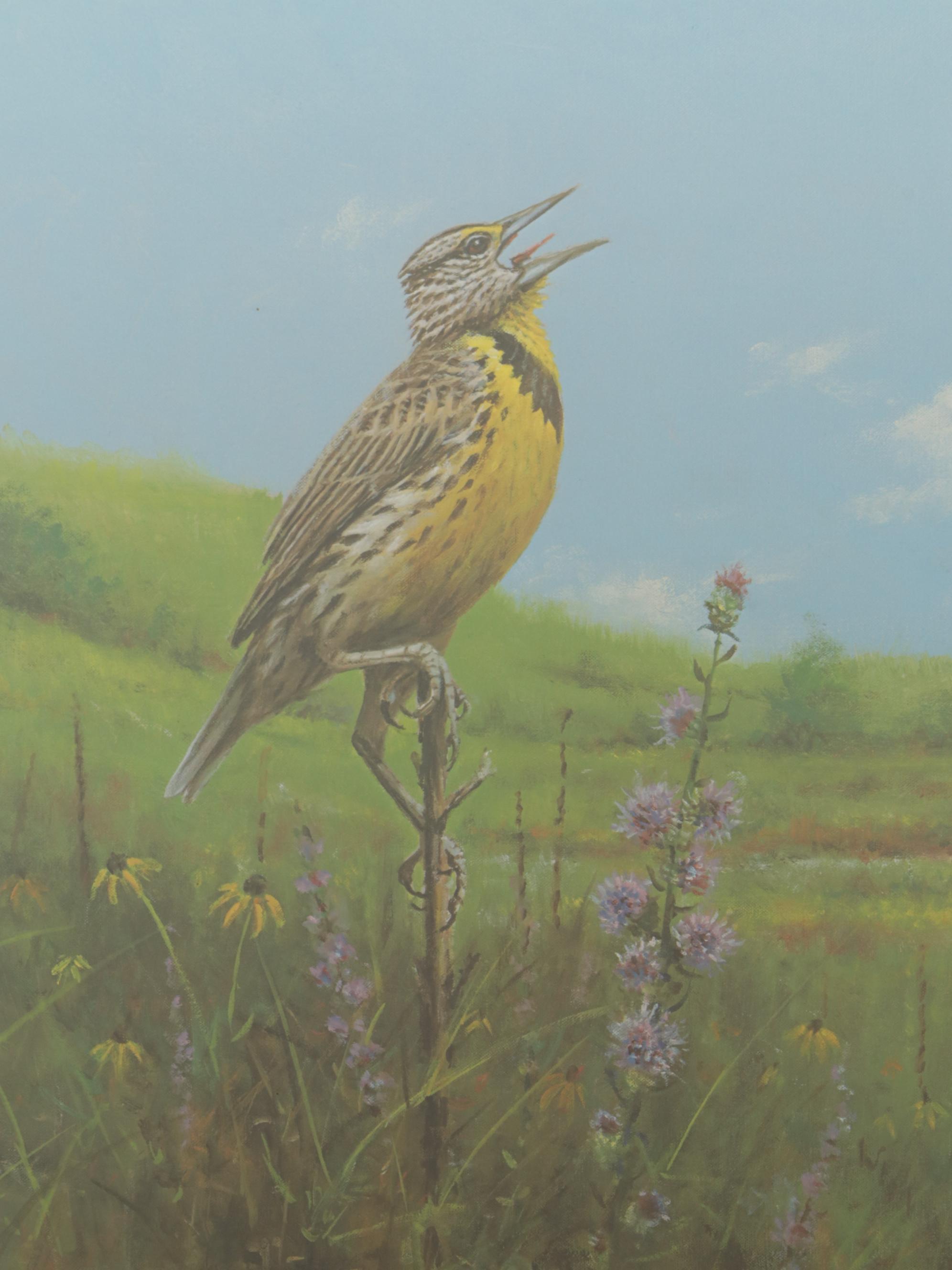 Owen J. Gromme Offset Lithograph of Meadowlark - Late Summer, 1981